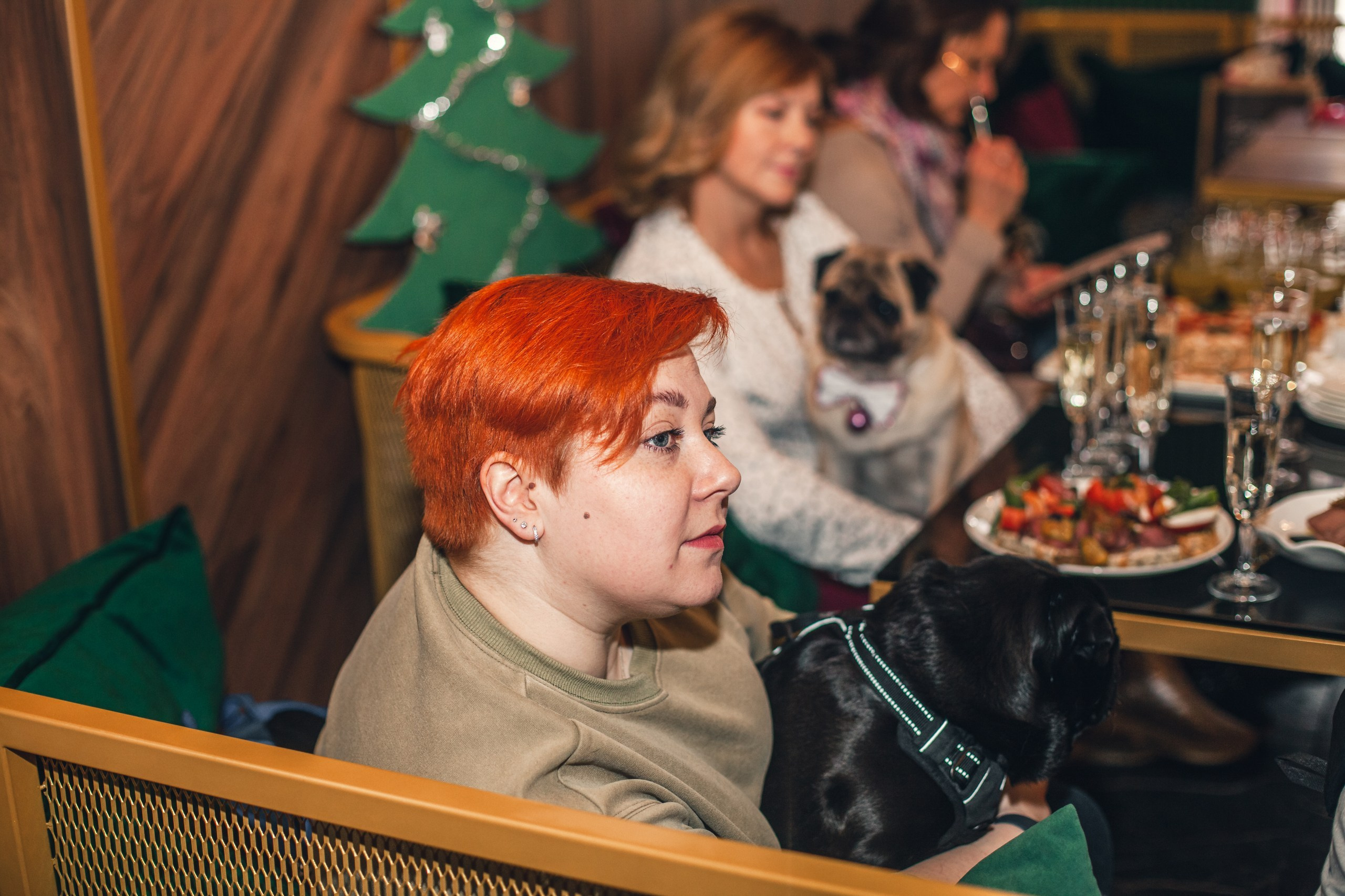 Мопсовстреча 02.12.2023. Фотограф-анималист Татьяна Степанова