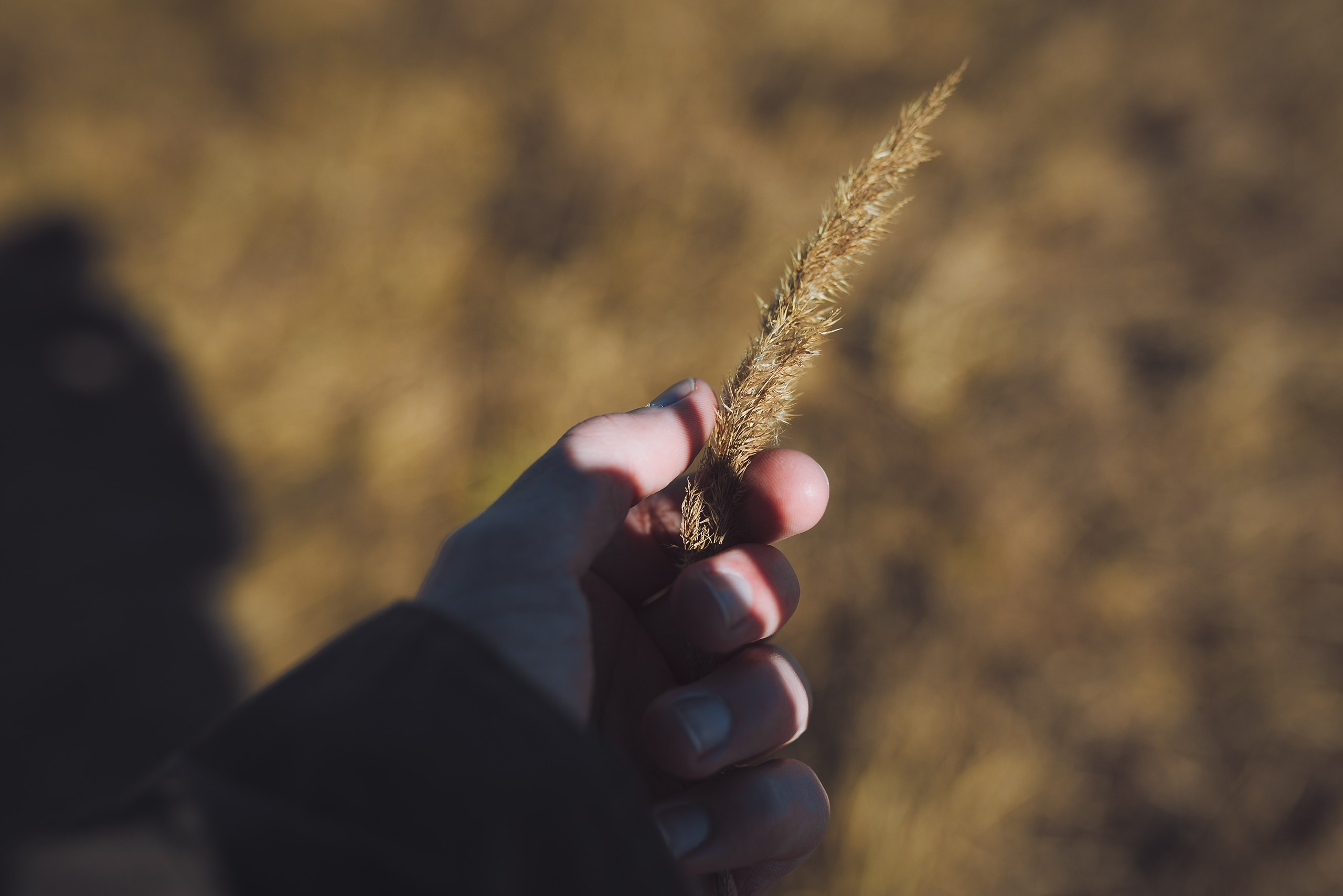 Невидимый спектр. Komonev