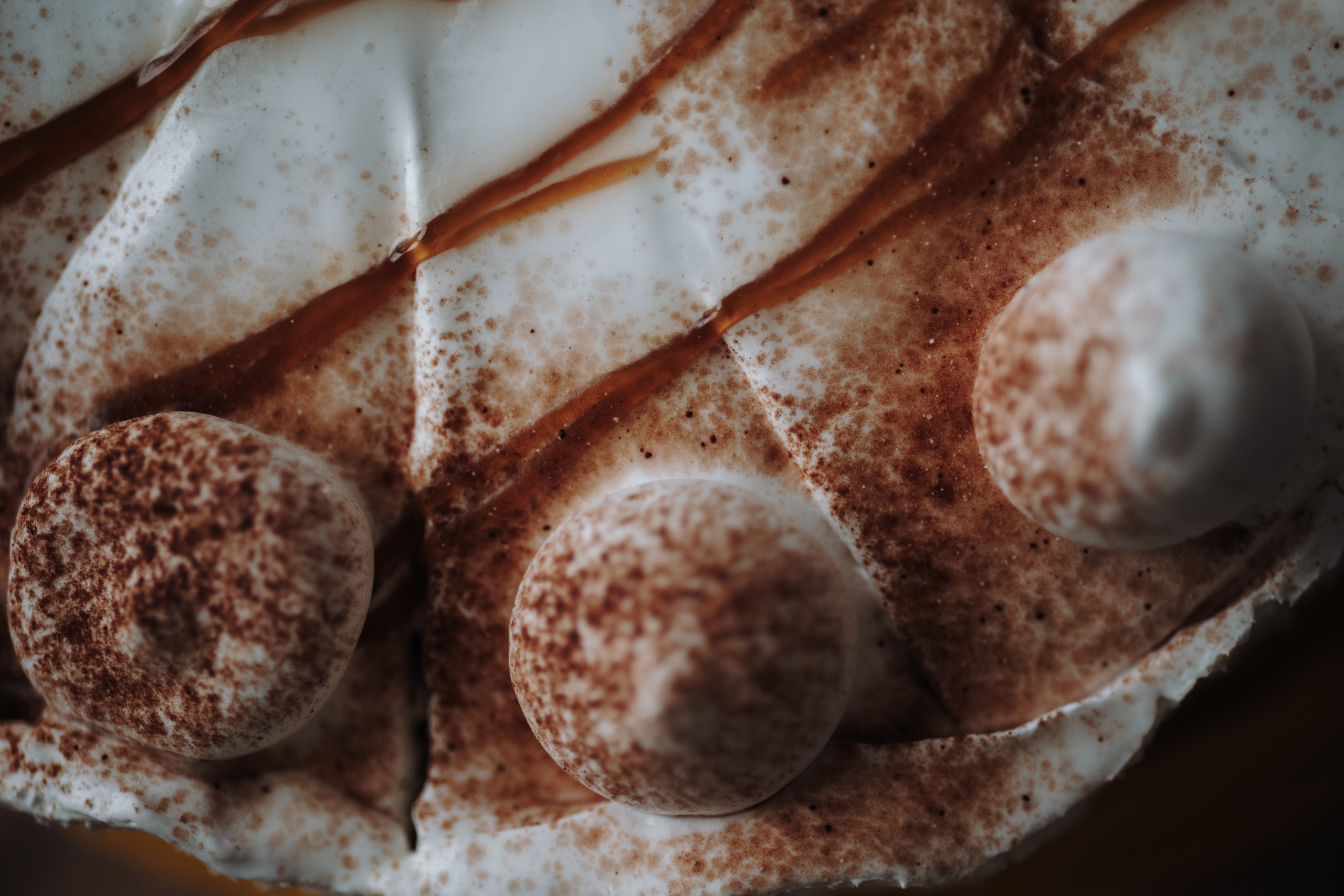 Мася и ее семья. Фотограф — Анималист | Санкт-Петербург