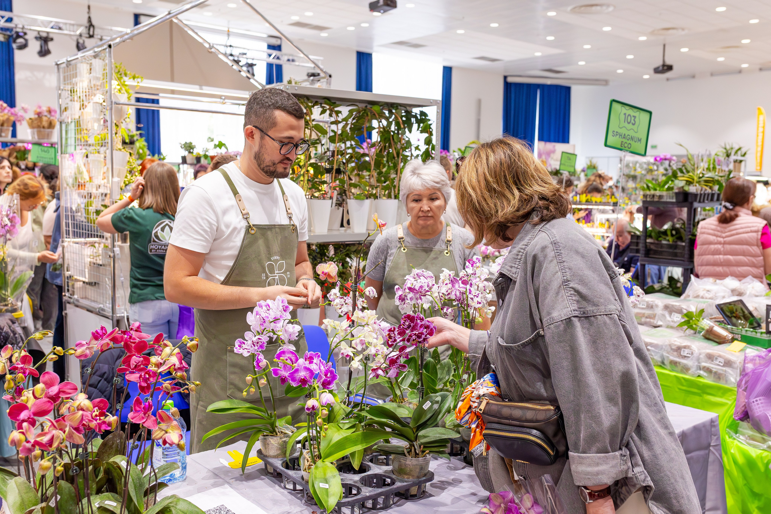 Орхидиум сентябрь 2025. Александра Куликова фотограф, Москва