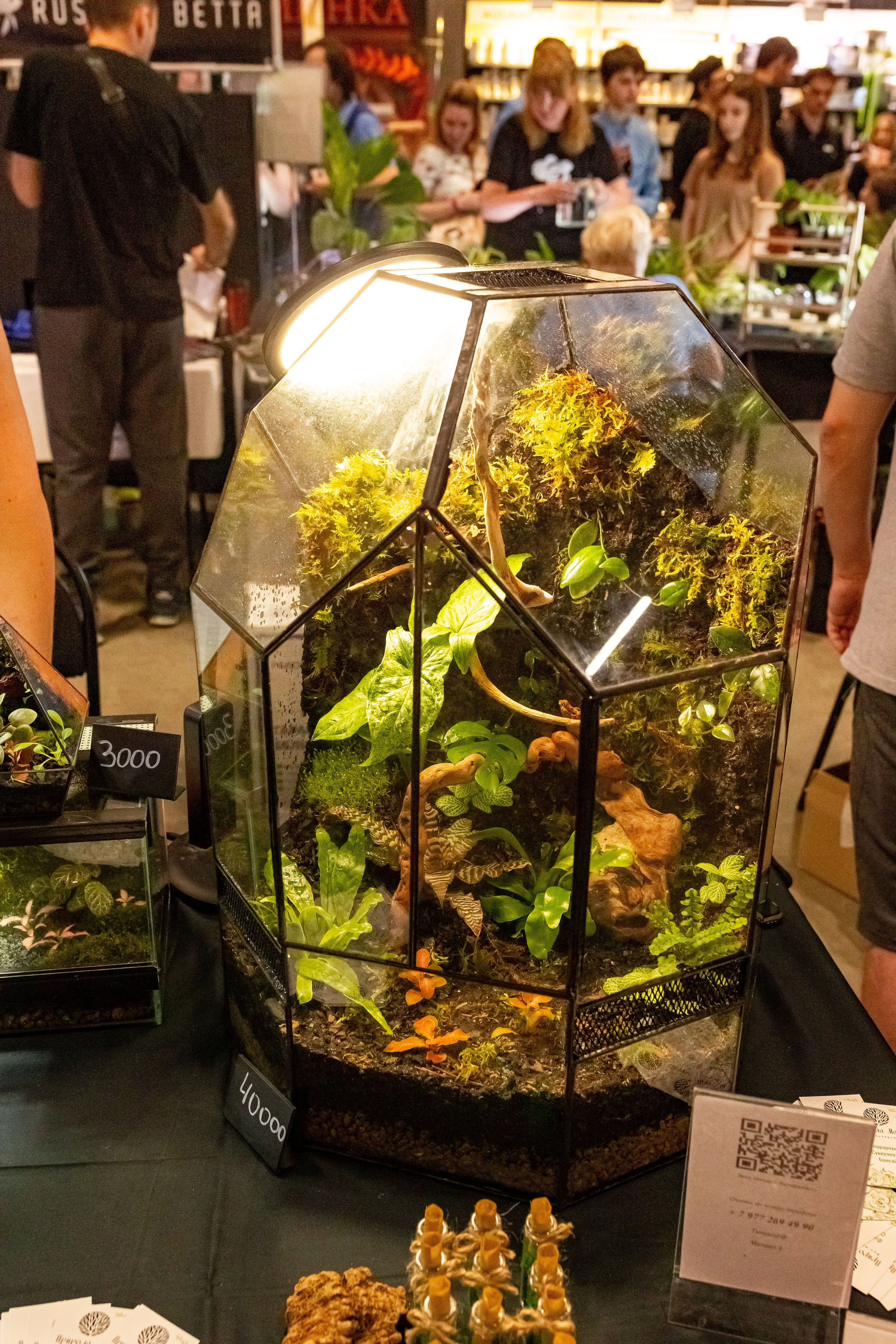 Рептилиум 2024. Александра Куликова фотограф, Москва