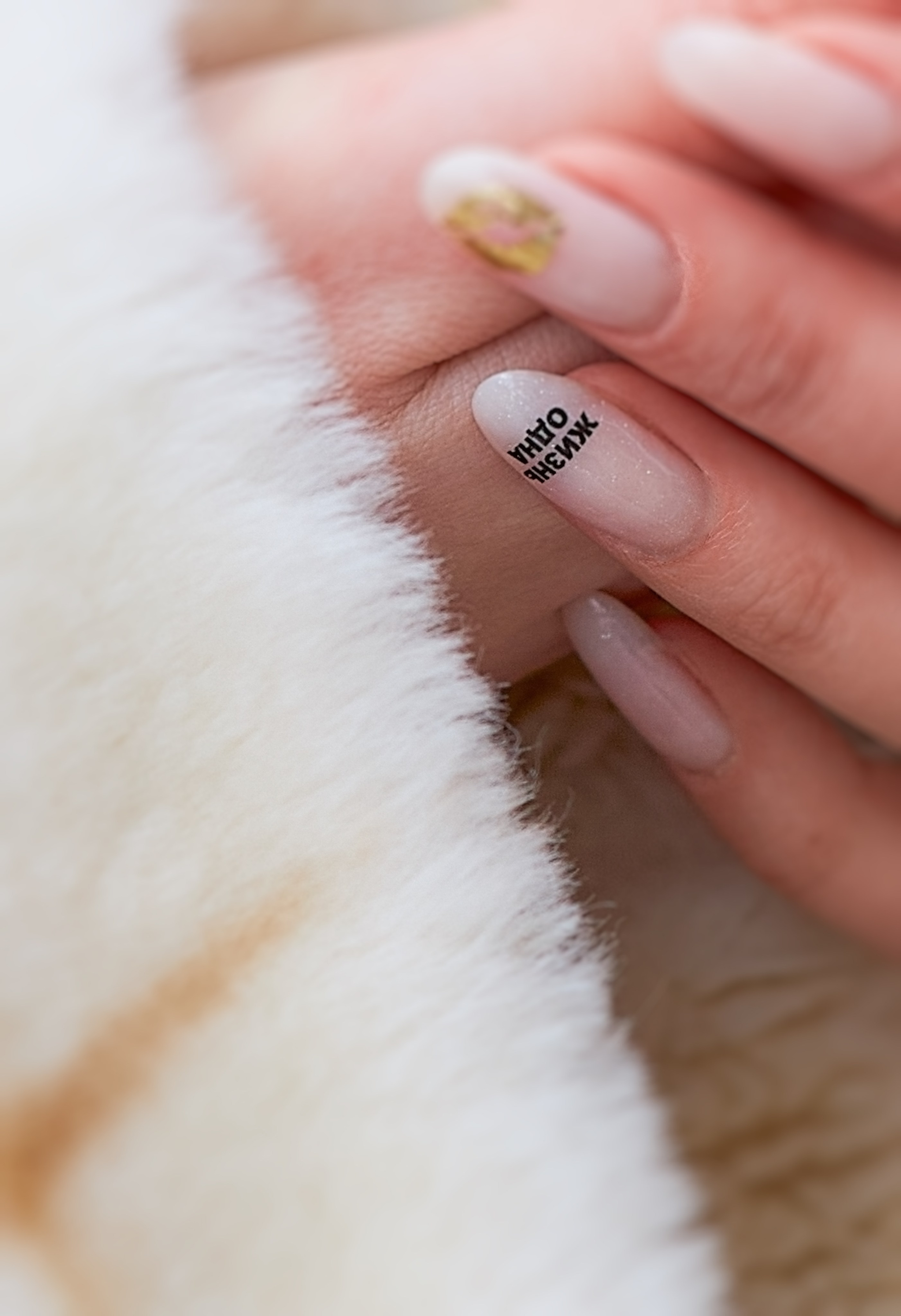 Анастасия. Фотограф в городе Ростов-на-Дону Лариса Черных