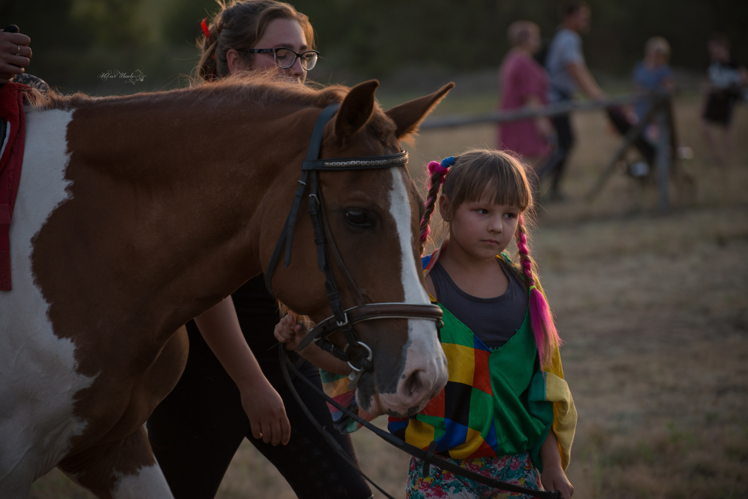 Дети и лошади. Конный фотограф в Саратове Юлия Иванова