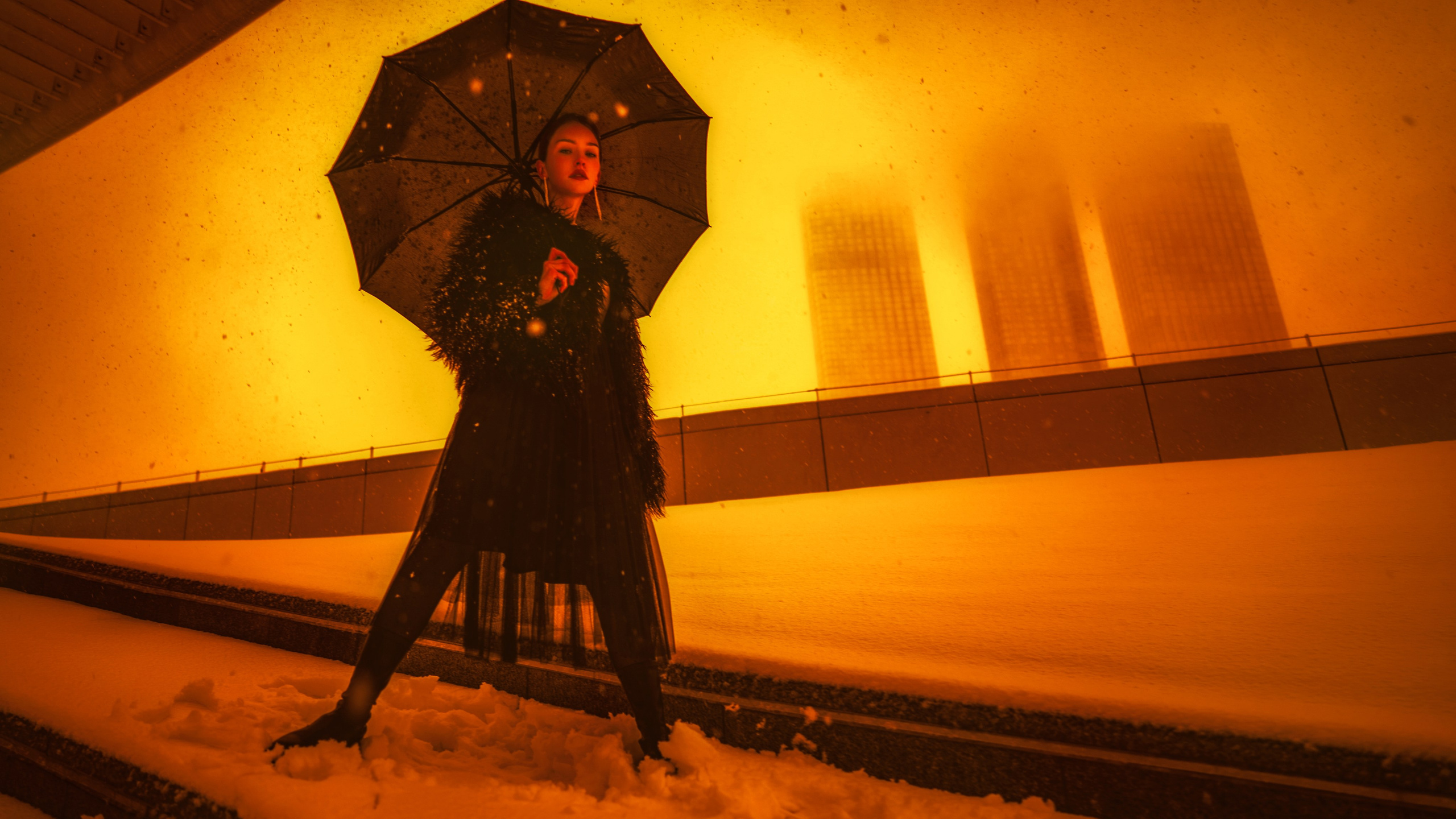 BLACK RAVEN. Sergey,kuzichev