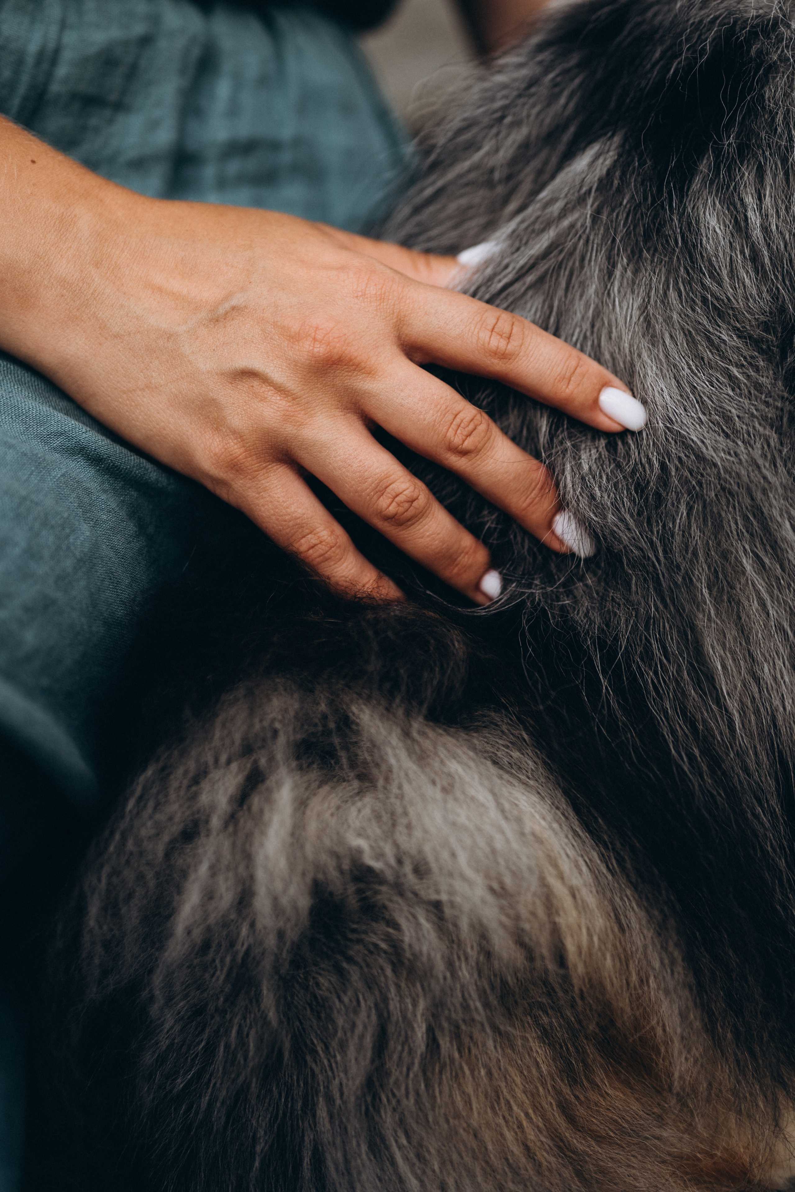 Яна и Холли. Мария Кобзева, фотограф в Ялте, Крым