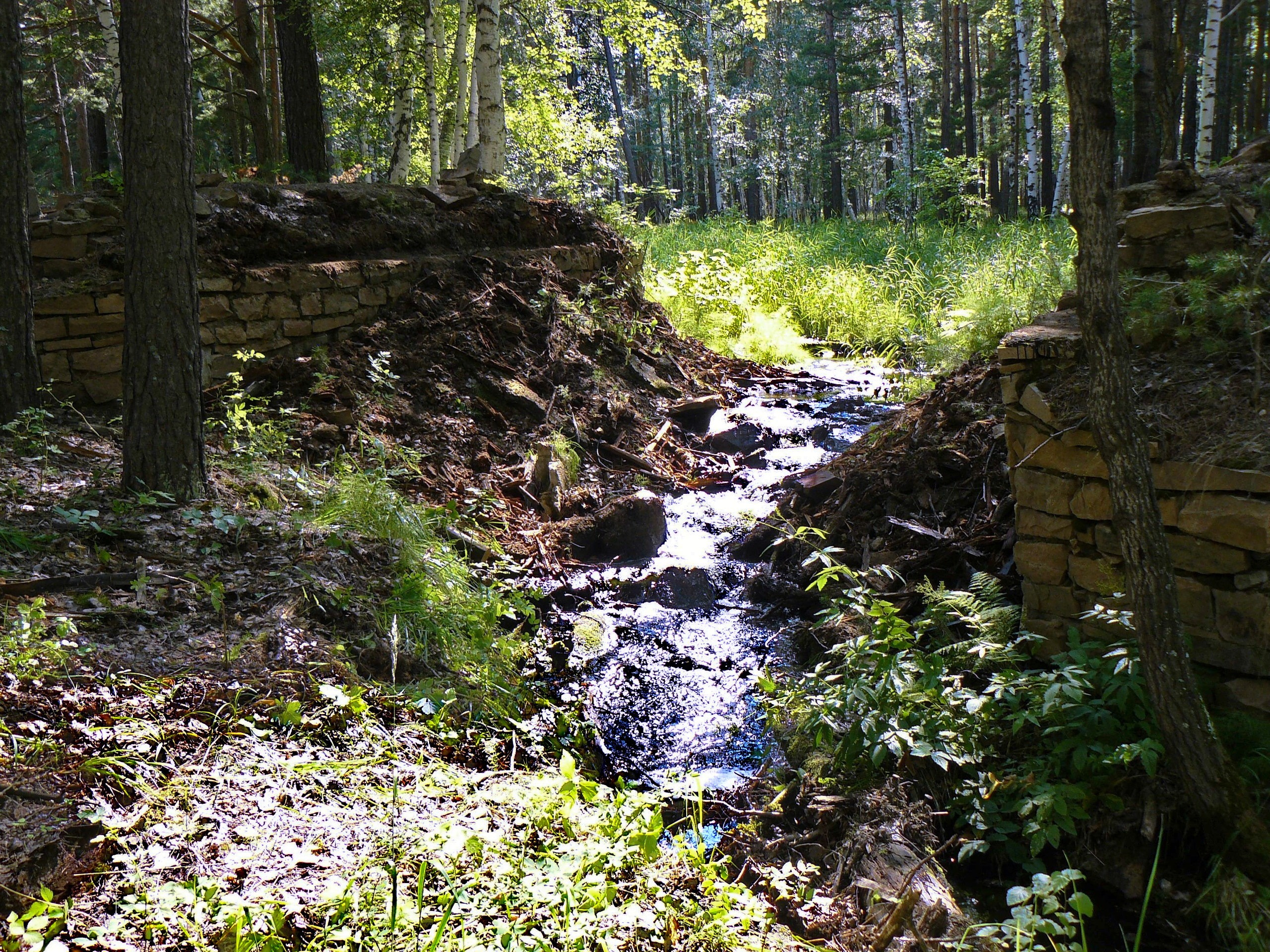 Боровое 2018 (из архива). Избранные фотографии