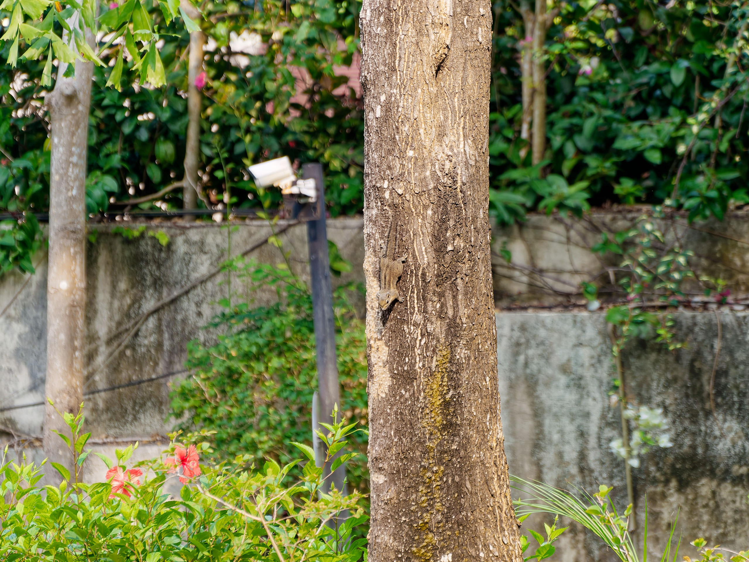 Хайнань 2026, отель «Stony Brook Villa Jianguo Resort Sanya 4*». Фотопрогулки по Миру