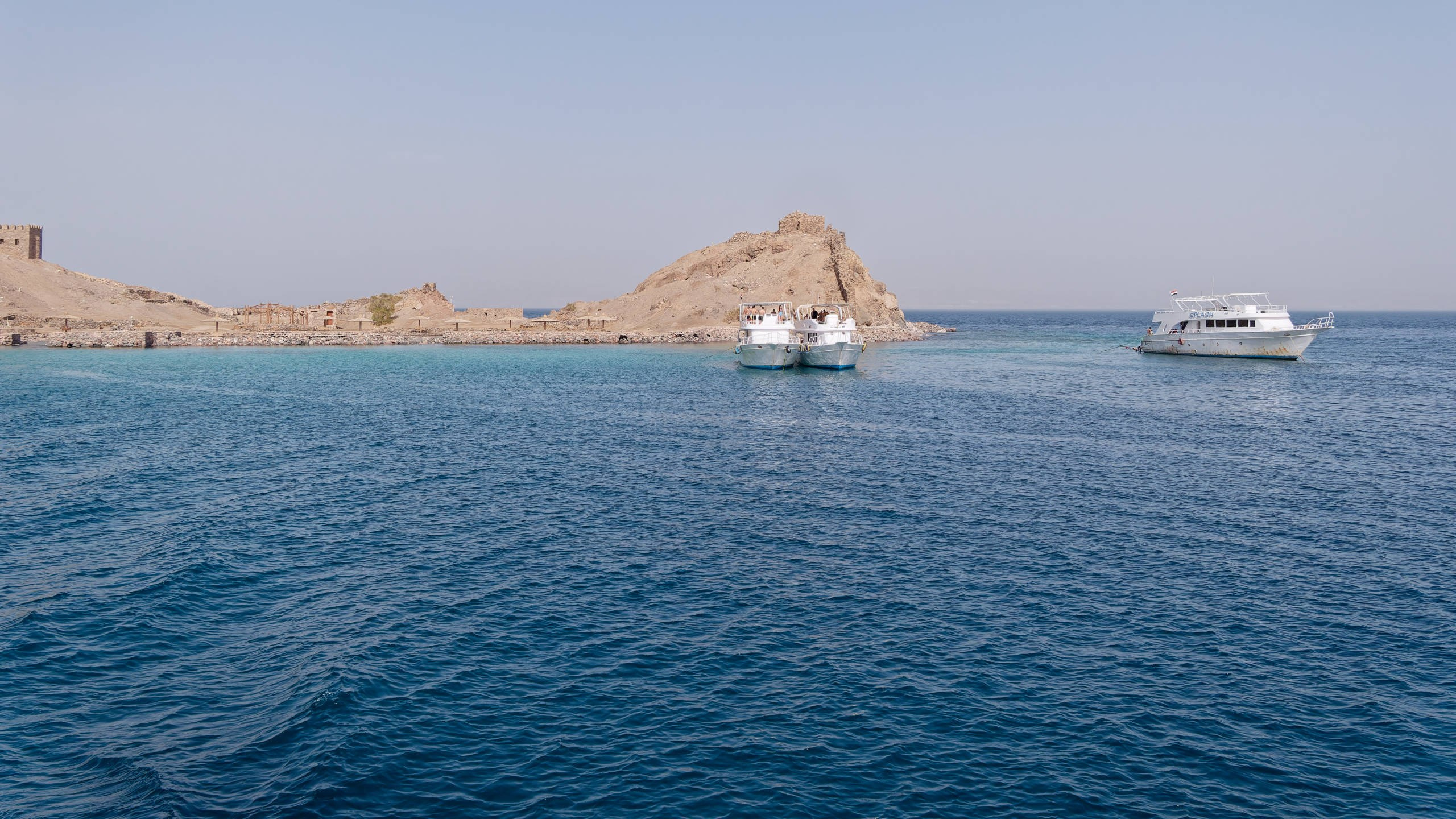 Шарм-эль-Шейх 2022, сафари. Избранные фотографии