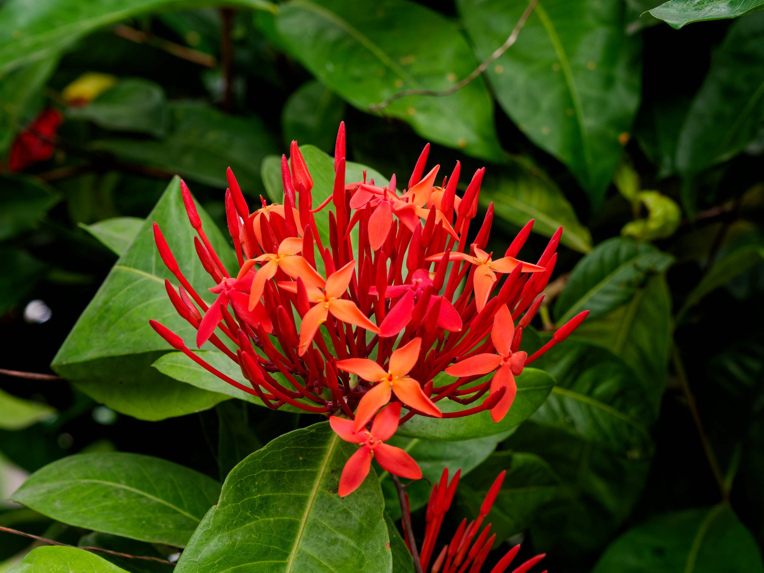 Нячанг 2025 (5). Избранные фотографии