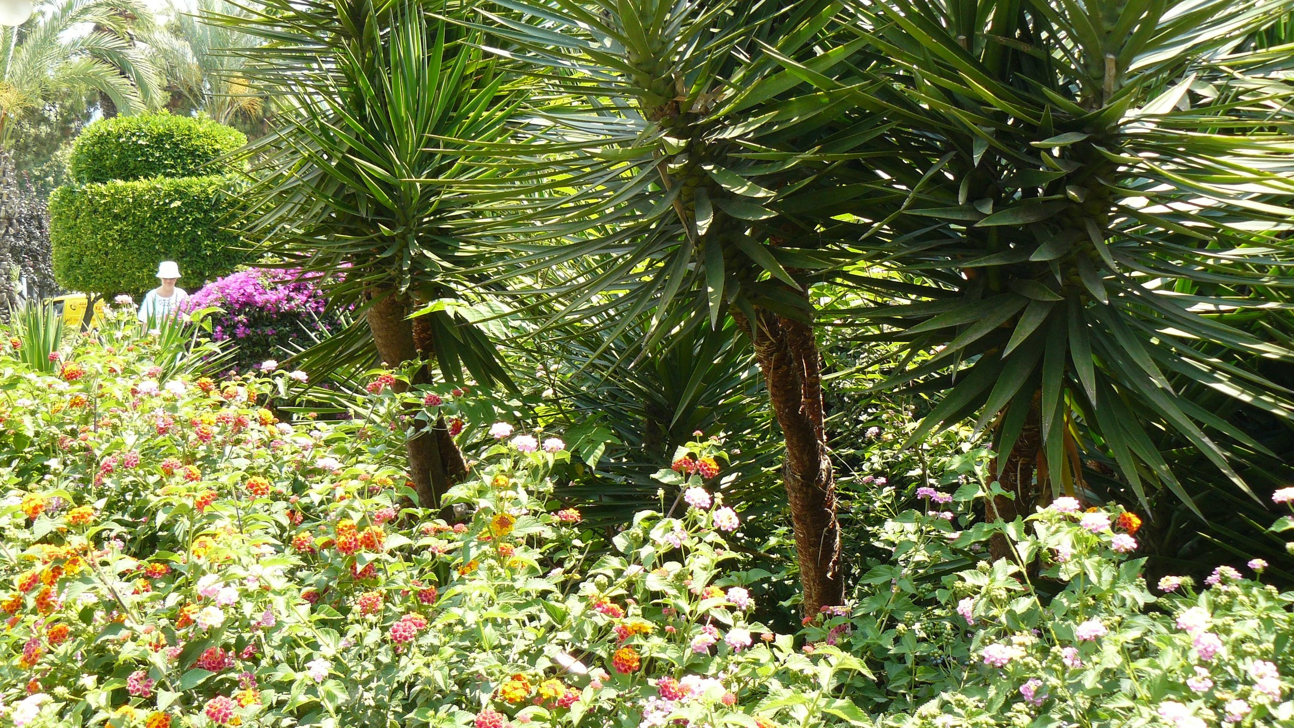 Алания 2015 порт и парк. Фотопрогулки по Миру