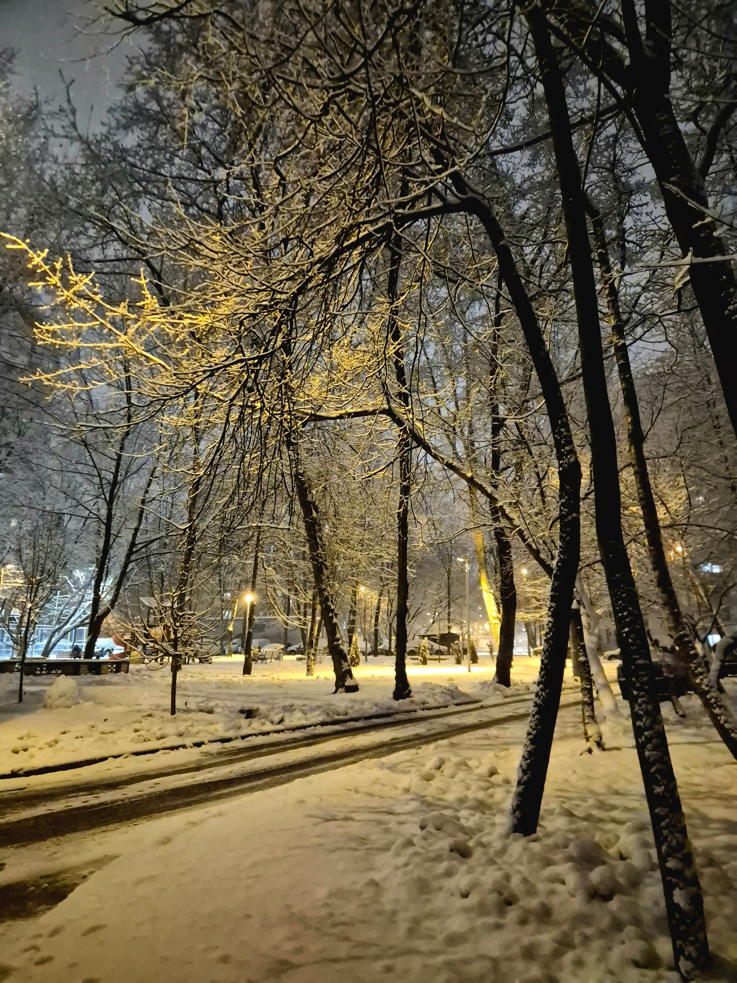 А потом вернулась зима. Пропустить такую красоту не могли даже в рабочий день - отправились в парк Сокольники