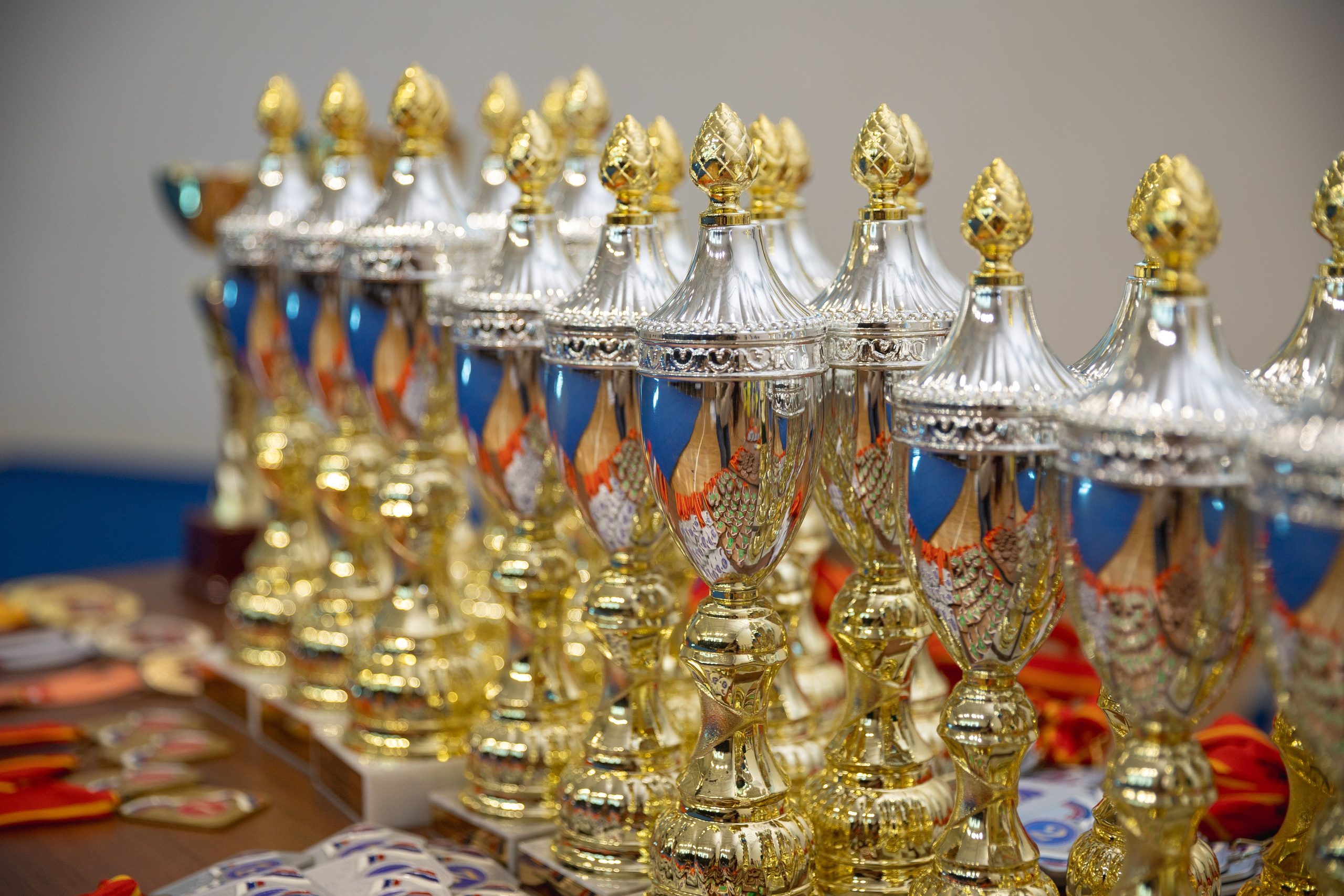 Репортаж. Общественные мероприятия. Спортивный и детский фотограф в Копейске и Челябинске Вероника Санаева