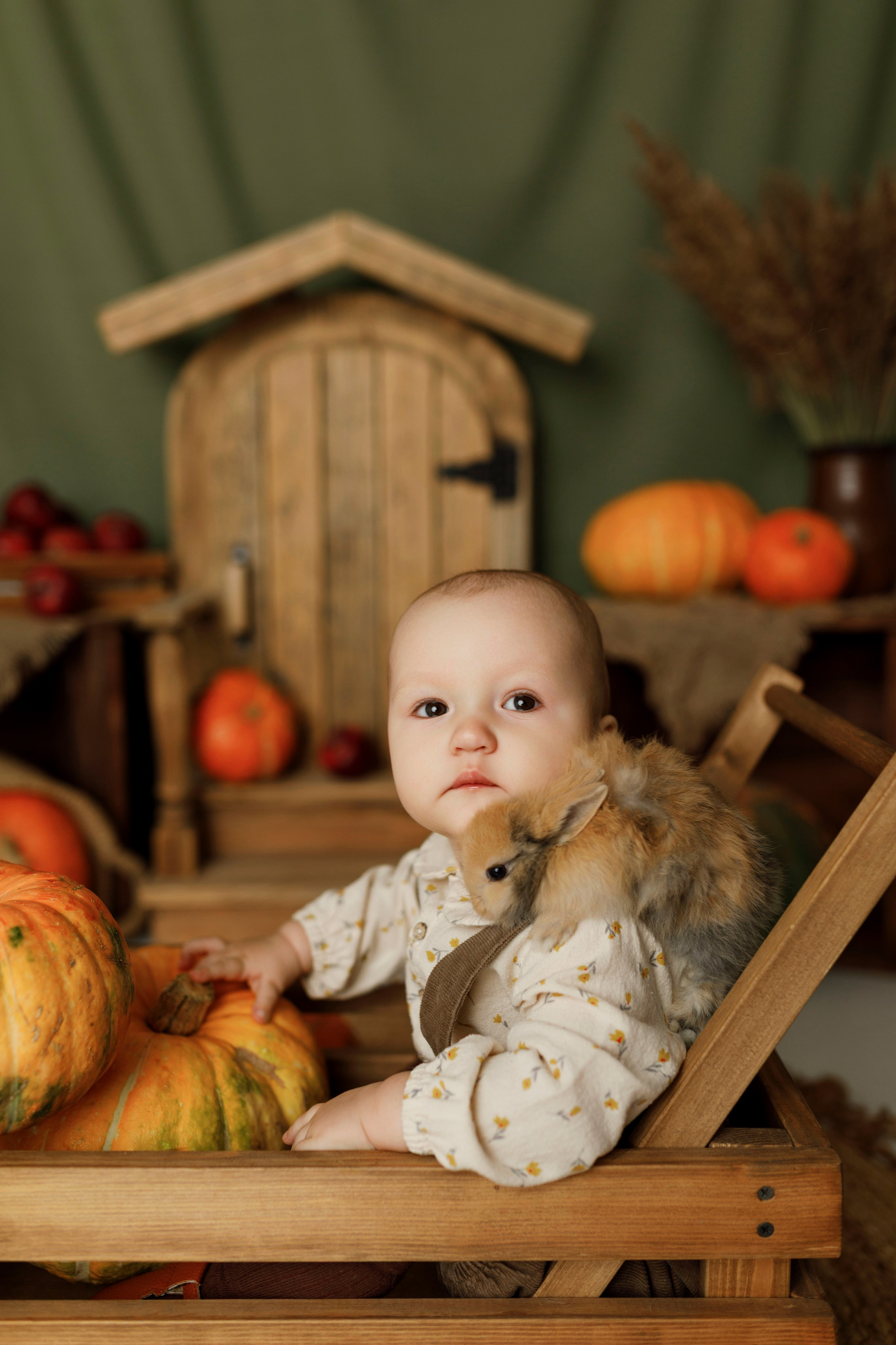 Фотопроекты. Фотограф новорождённых семейный фотограф Томск Елена Каплина