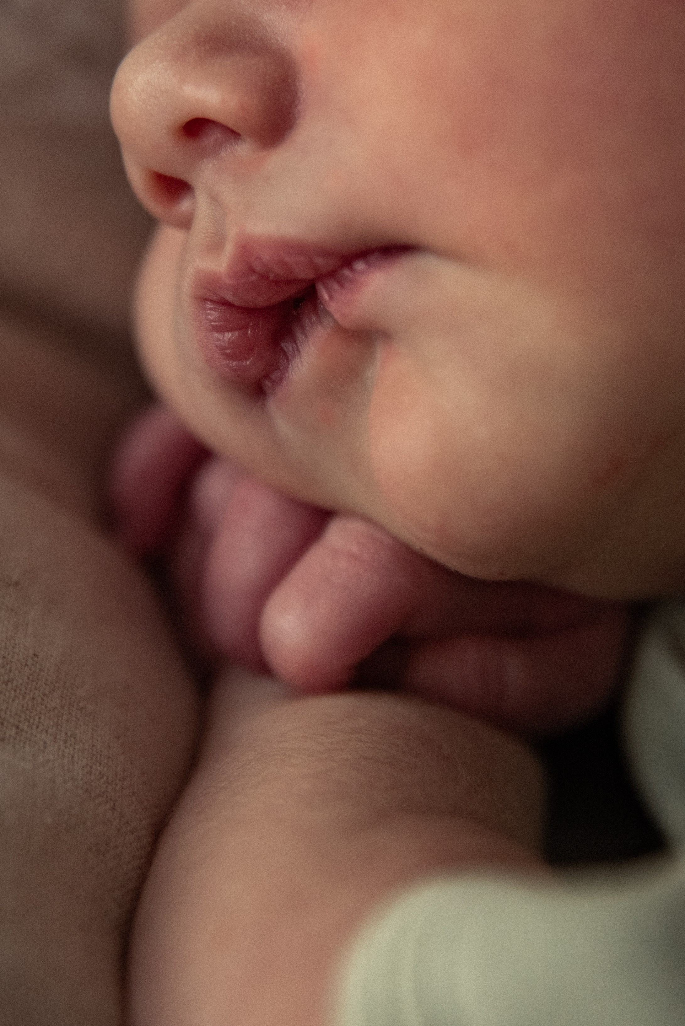 День встречи. Семейный и детский фотограф в Санкт-Петербурге Татьяна Дмитренко