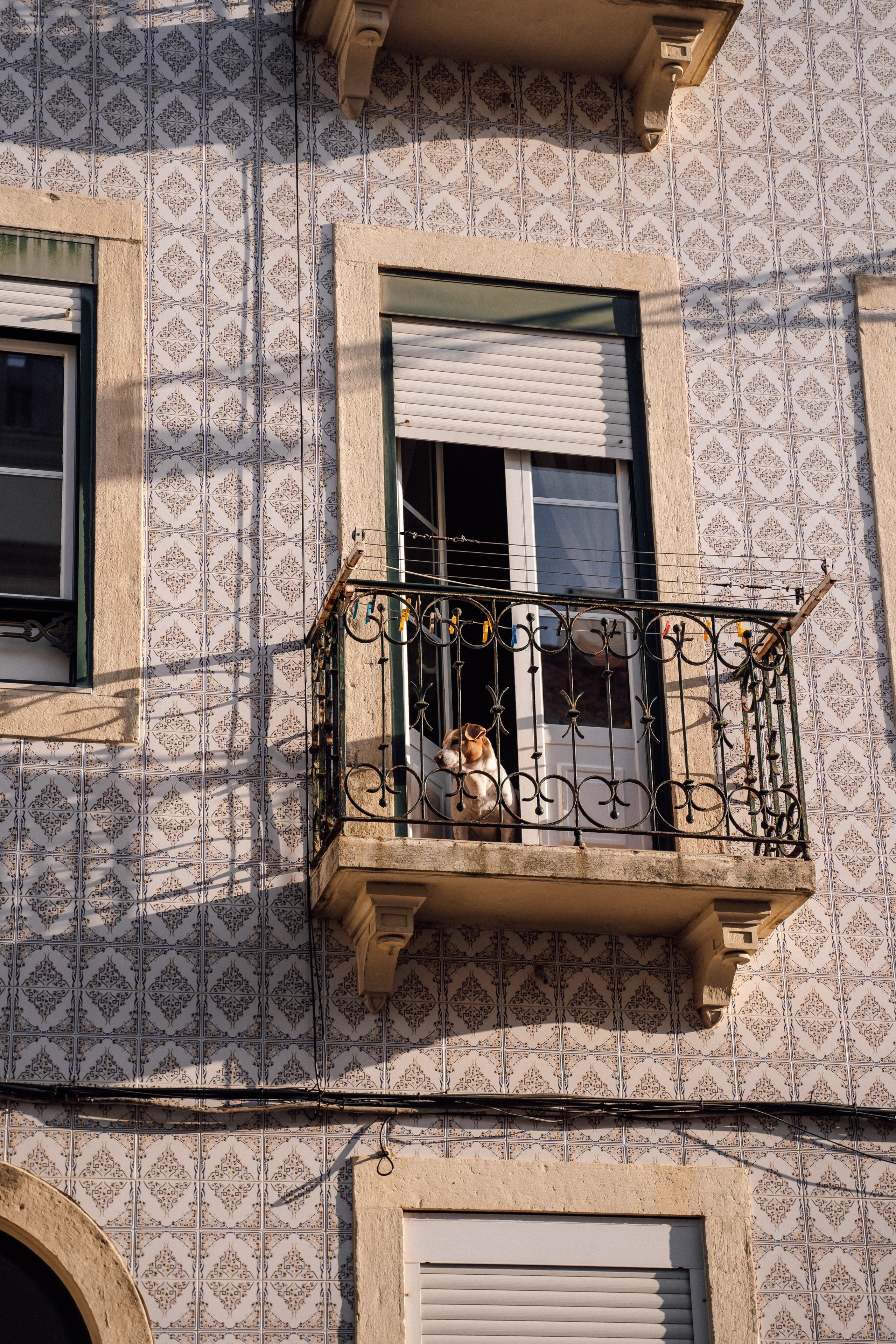 KATE PORTUGAL. Анастасия Вайнер — свадебный и портретный фотограф в Германии и по всей Европе