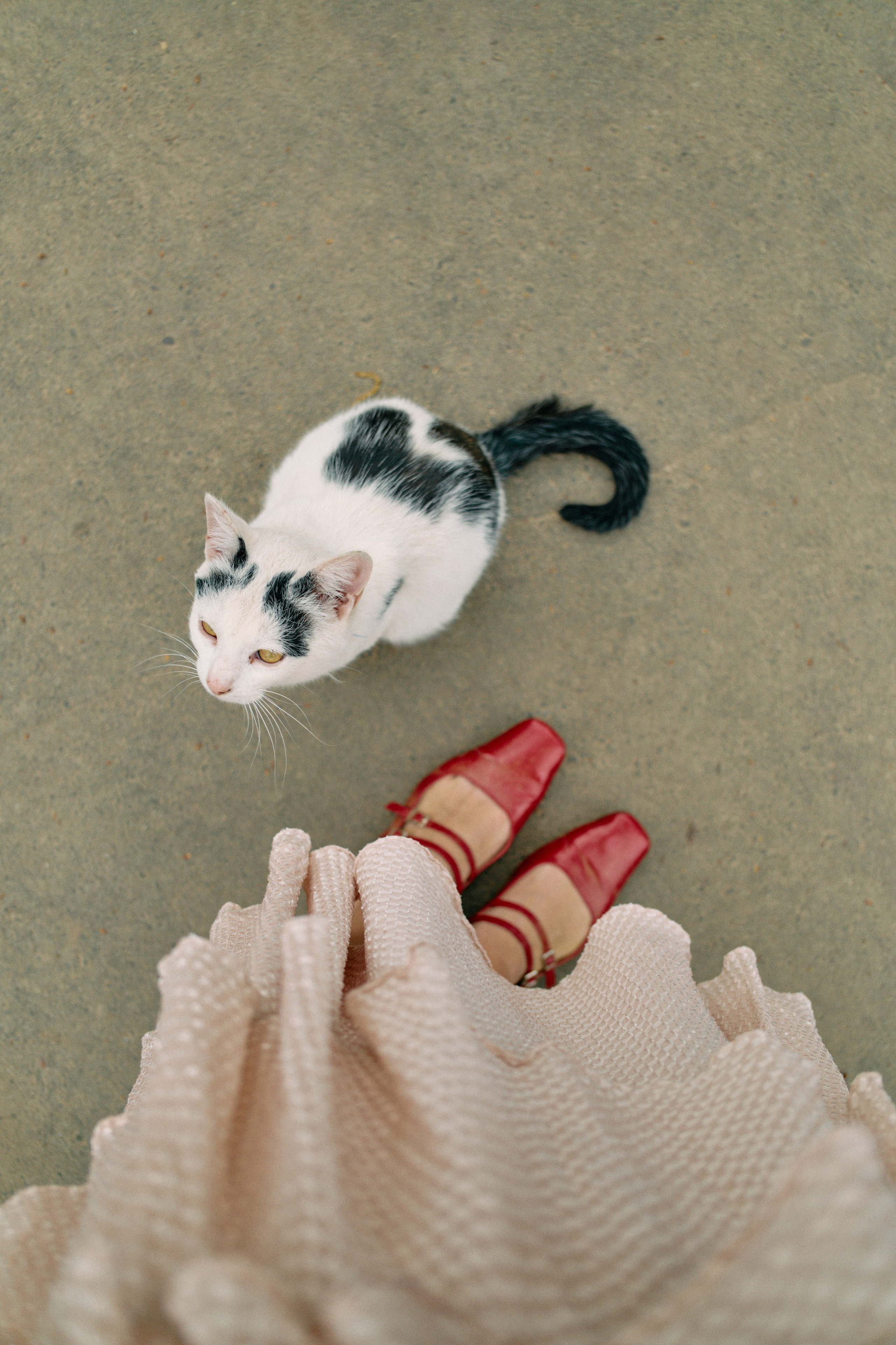 Бутик-отель Поле летом. Профессиональный Фотограф во Владимире, в Москве и в Суздале — Полина Романычева