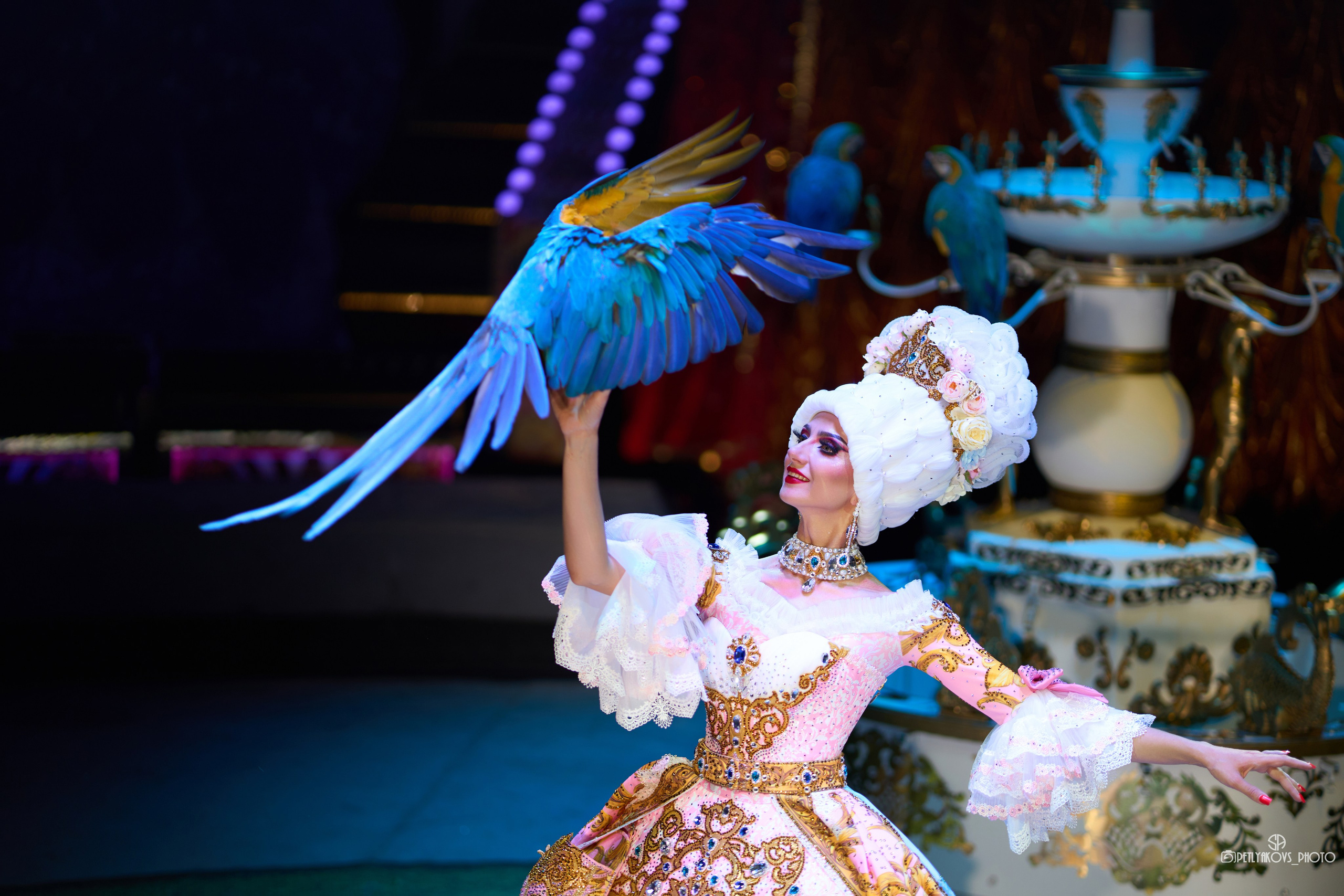 Фотосессия для артистов цирка Дарьи и Владимира Лекаревых. Фотограф, видеограф Пятигорск, Ставрополь, Ессентуки, Petlyakovs_photo