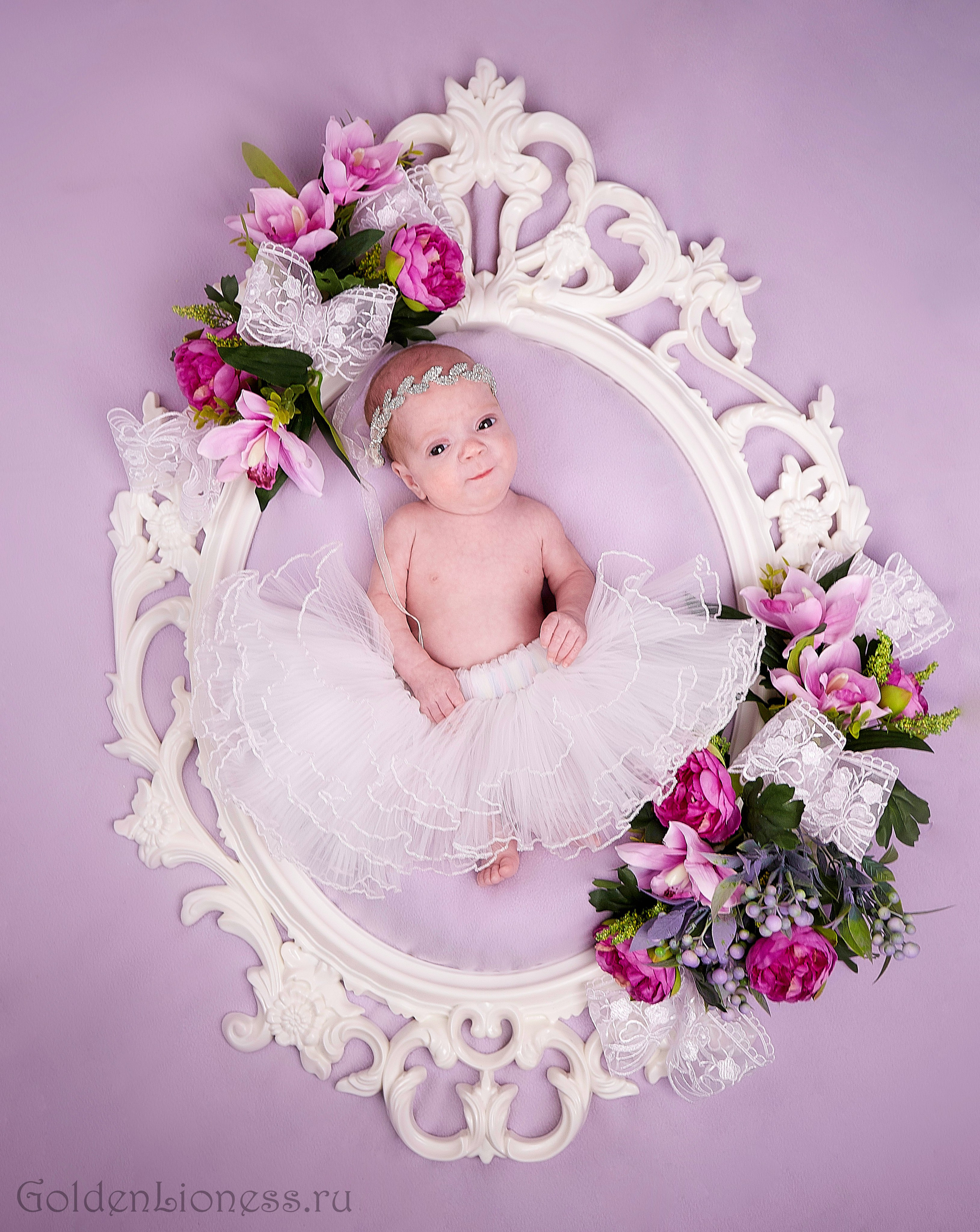 Галерея. GoldenLioness | Фотосессия новорожденных детей (newborn) Москва