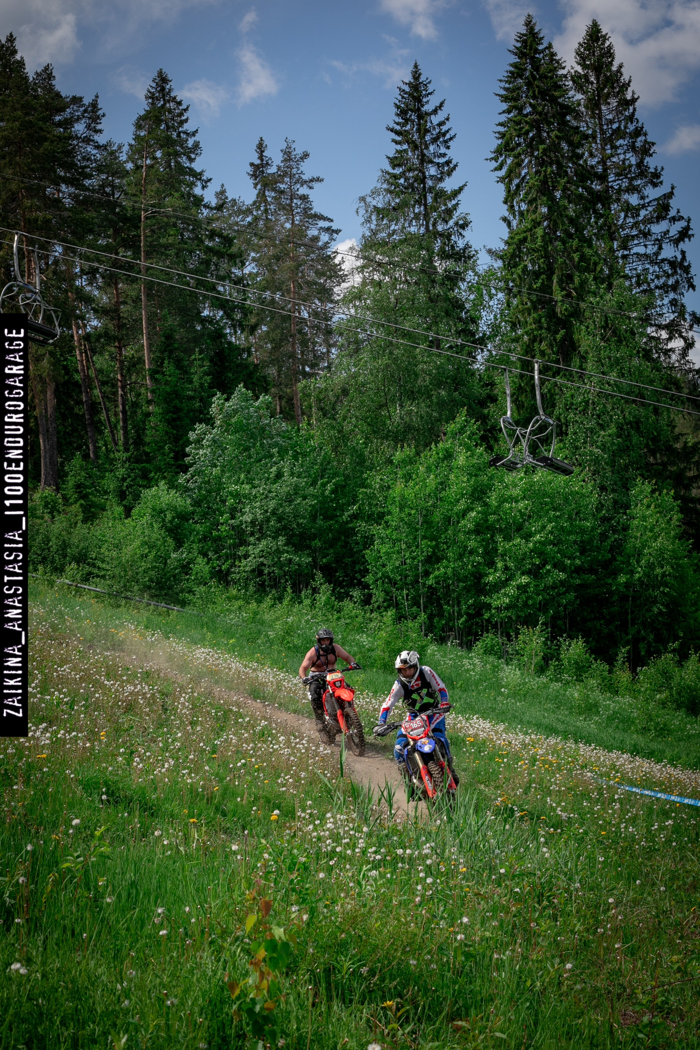 Шустрая Белка 2024. Фотограф Заикина Анастасия