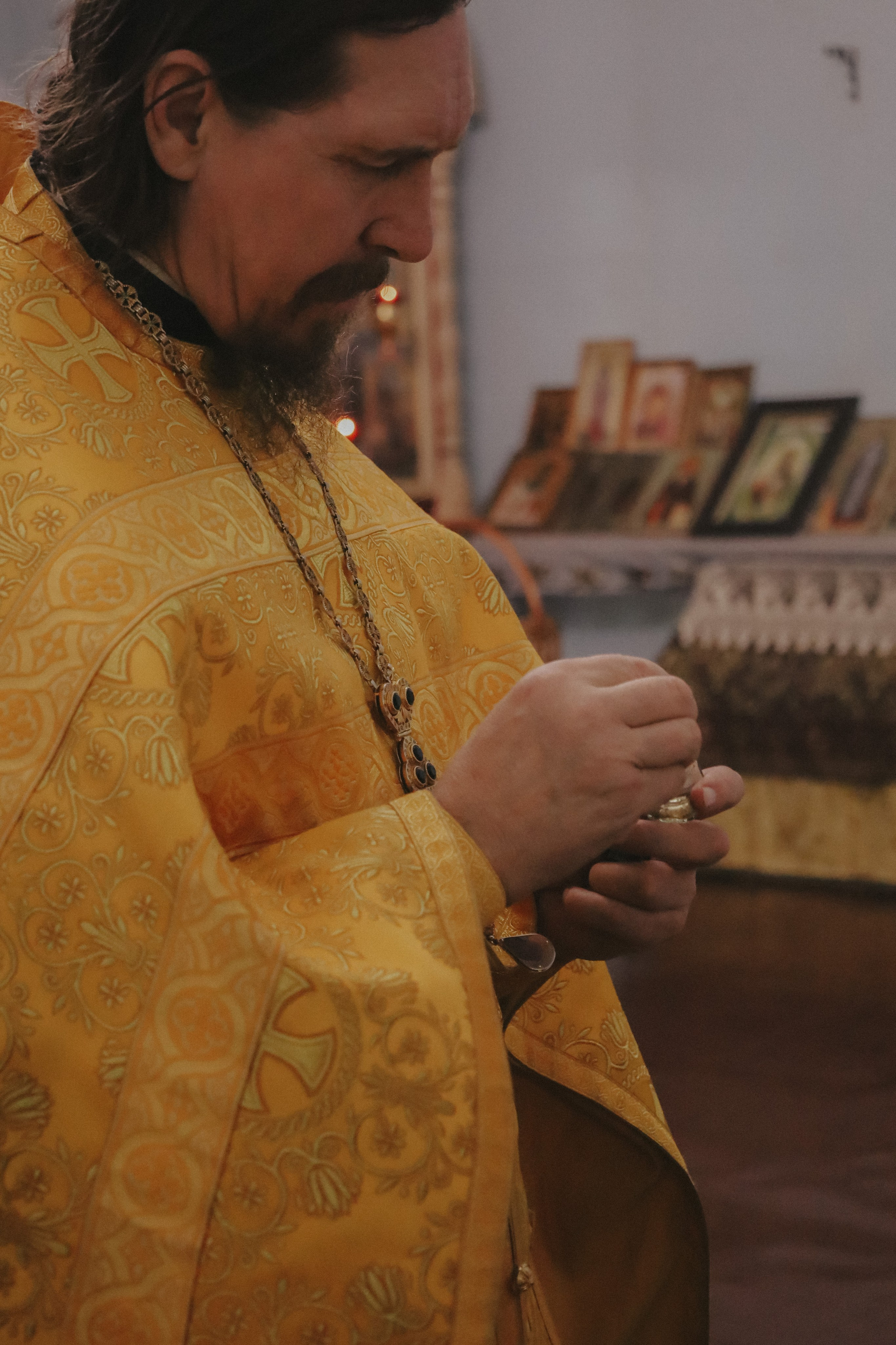 Алиса. Никонорова Анастасия