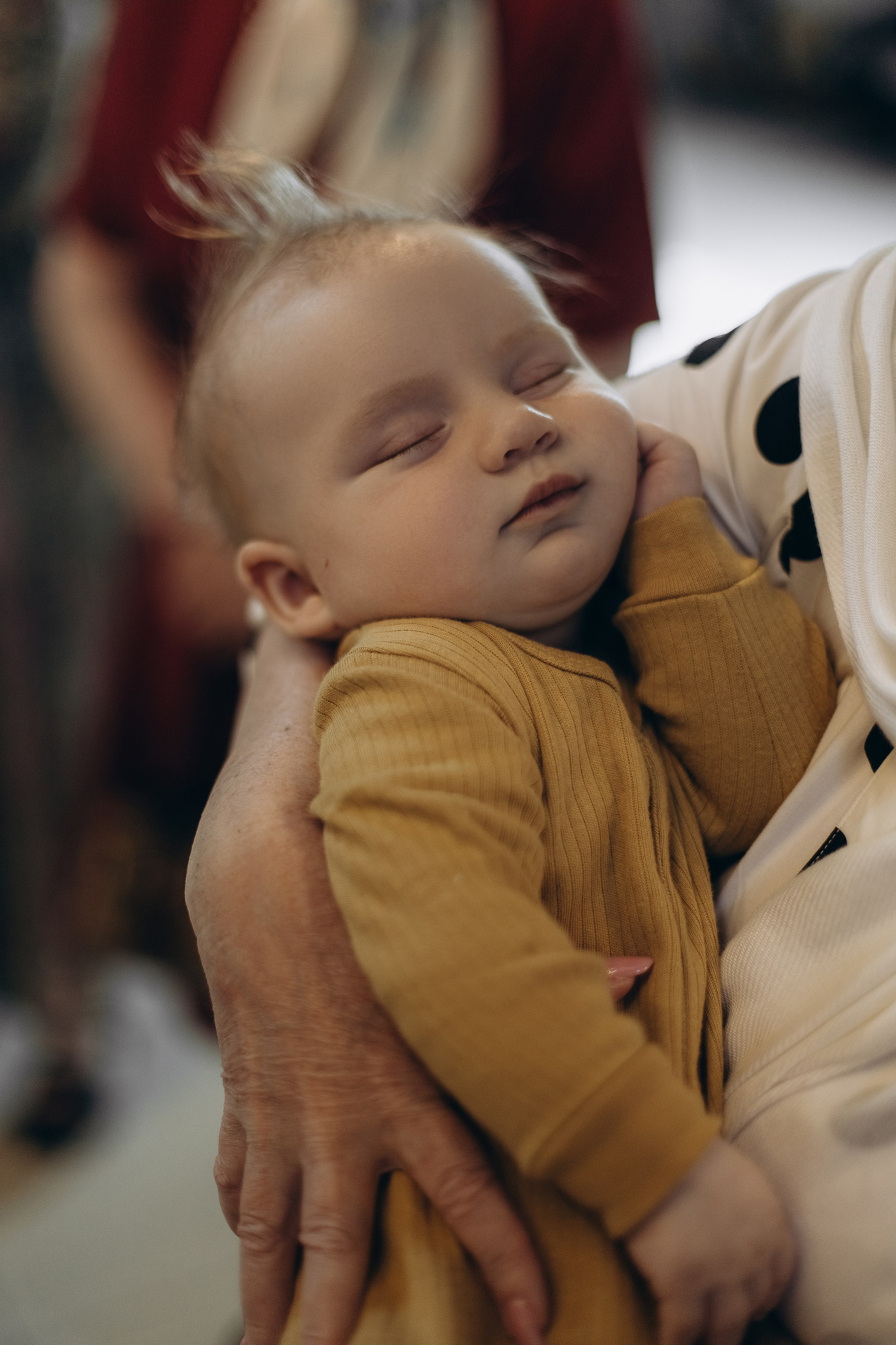 Крестины Марка. Главная