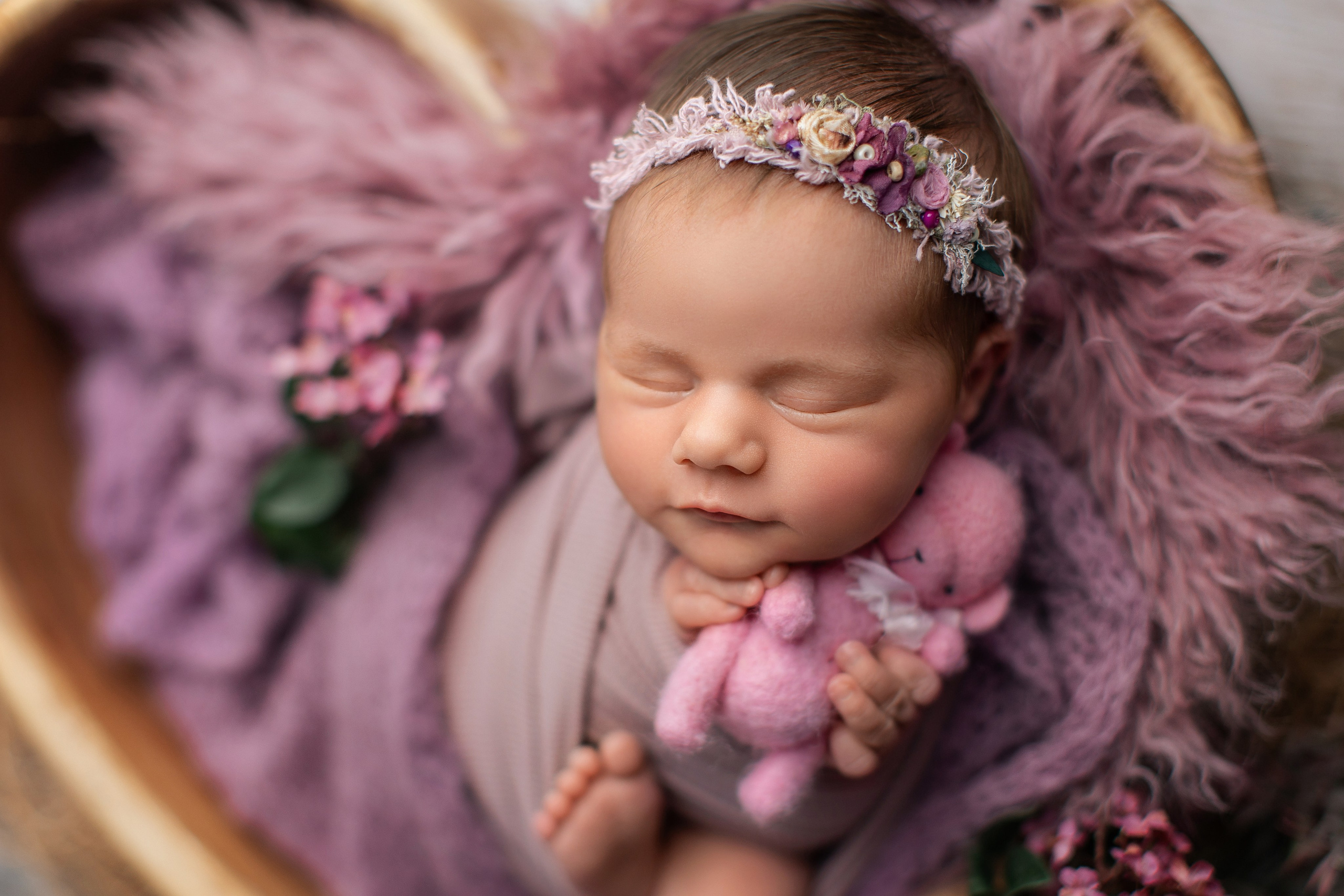 Lavender. Фотограф новорожденных, семейный фотограф в Санкт-Петербурге