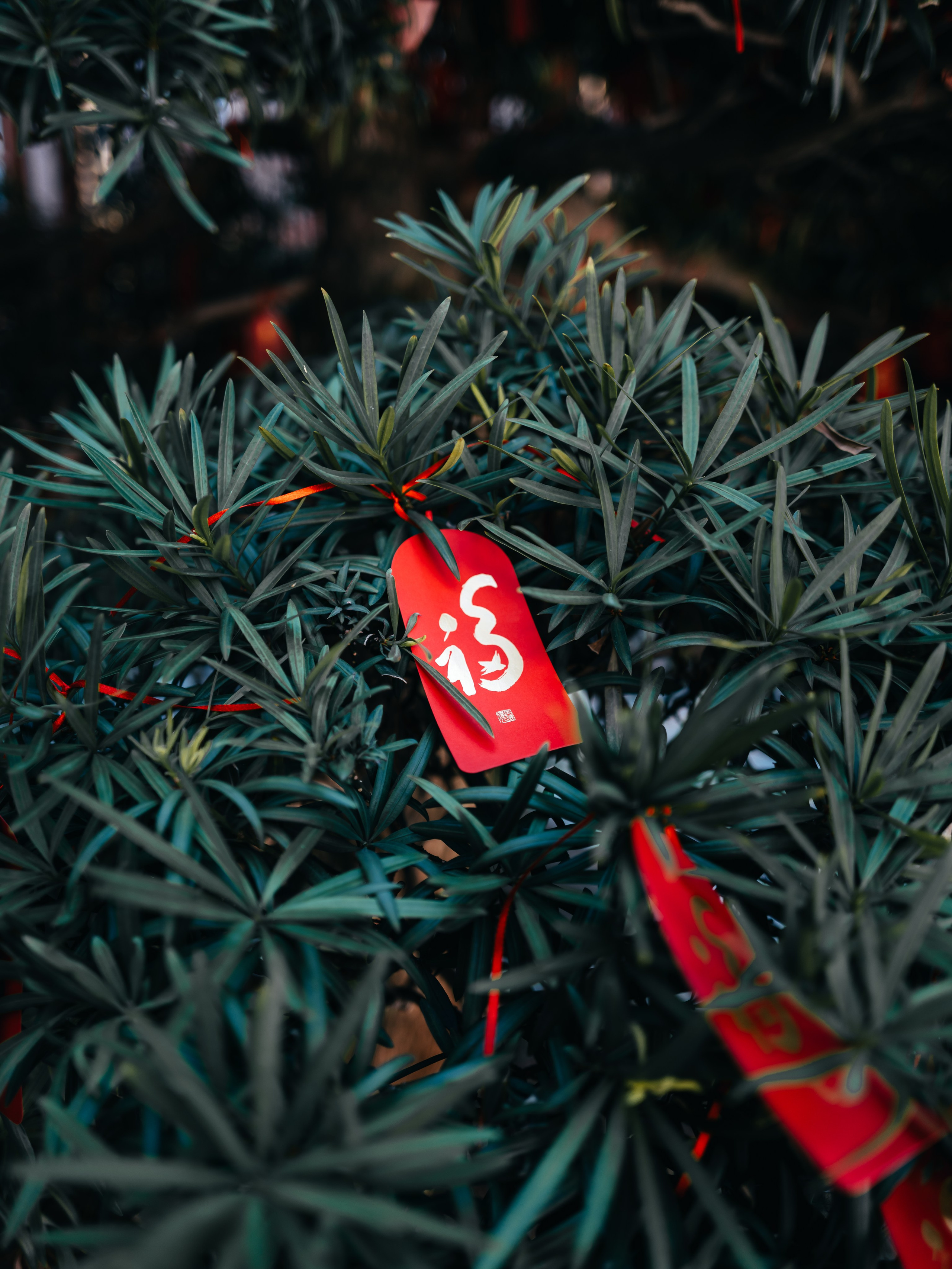 China/Китай. @tomrus: Рустам Шагиморданов — фотограф