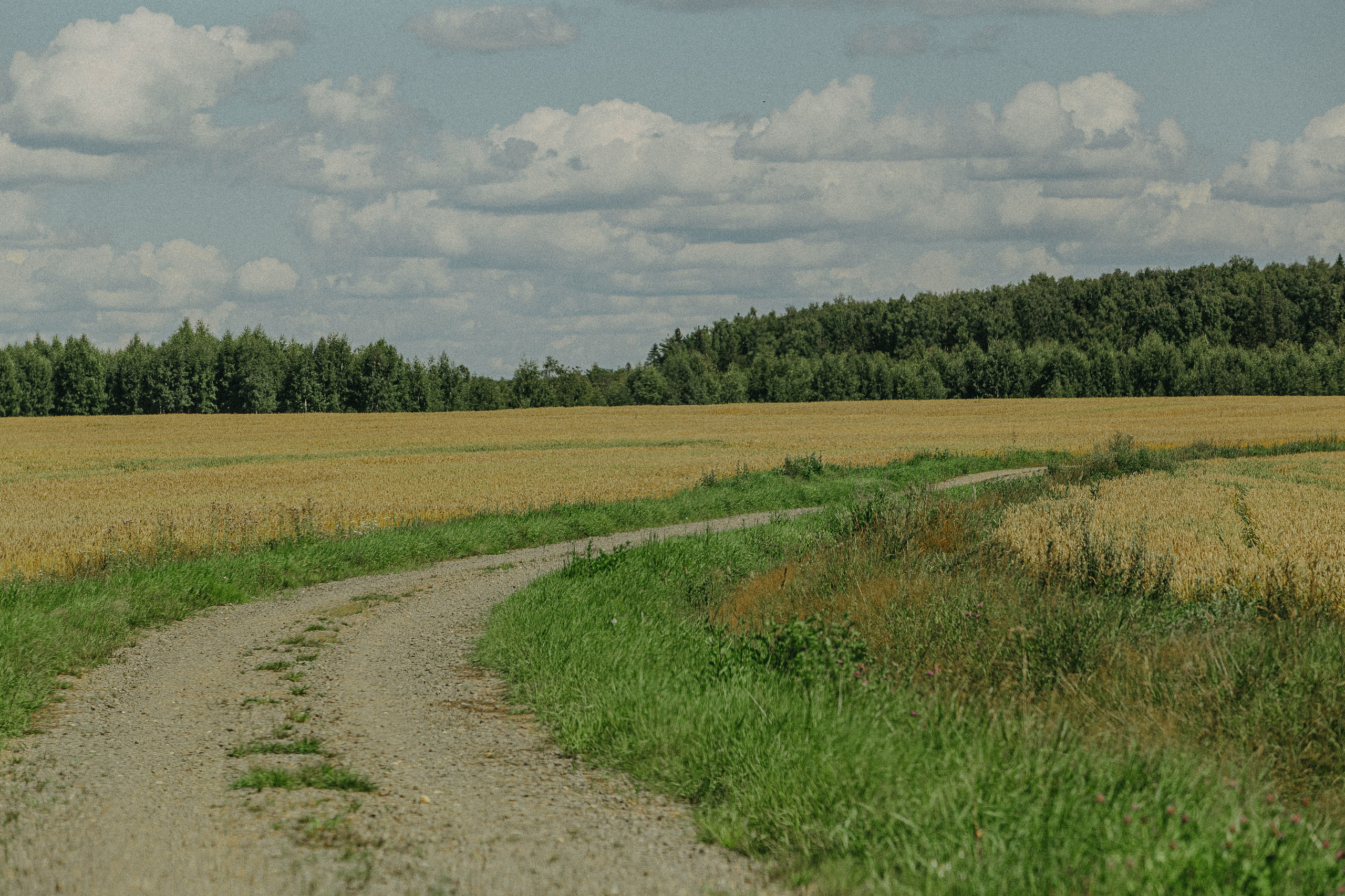 РЫБИНСКИЙ РАЙОН. Культурный кросс