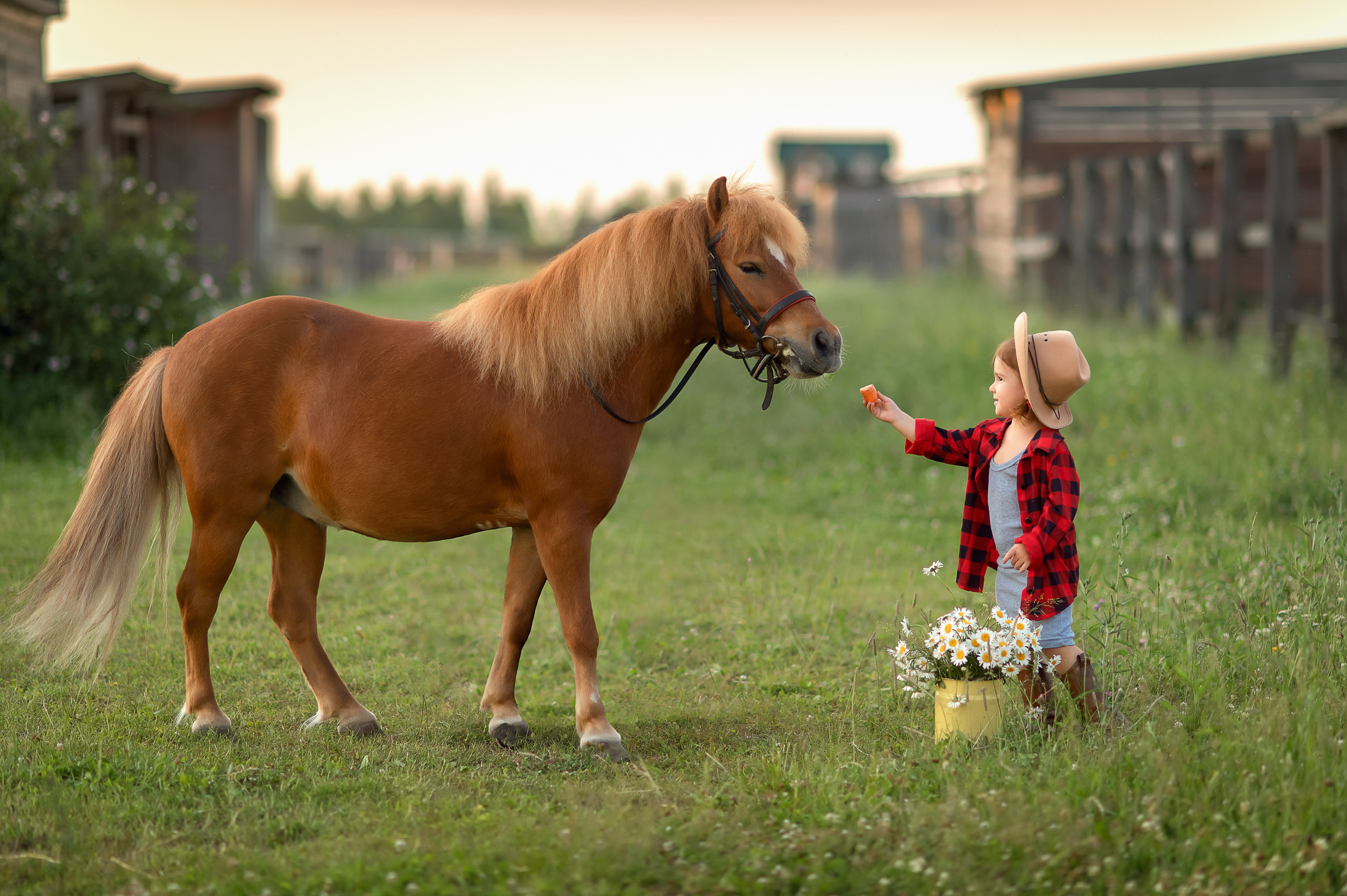 Дети. Детский и семейный фотограф в Переславле-Залесском Елена Усова