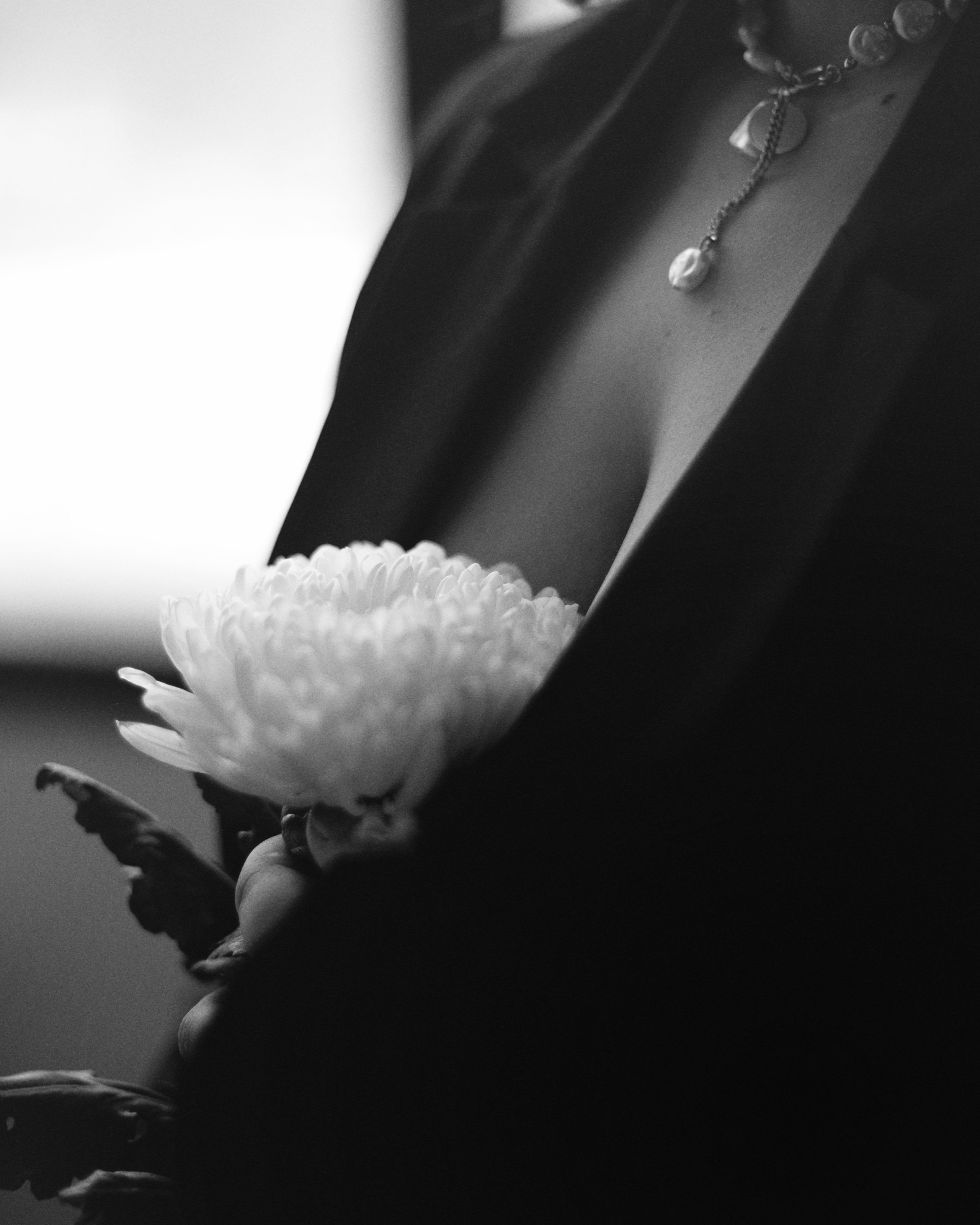 Сири. Фотограф в Москве — Евгения Прокопенко