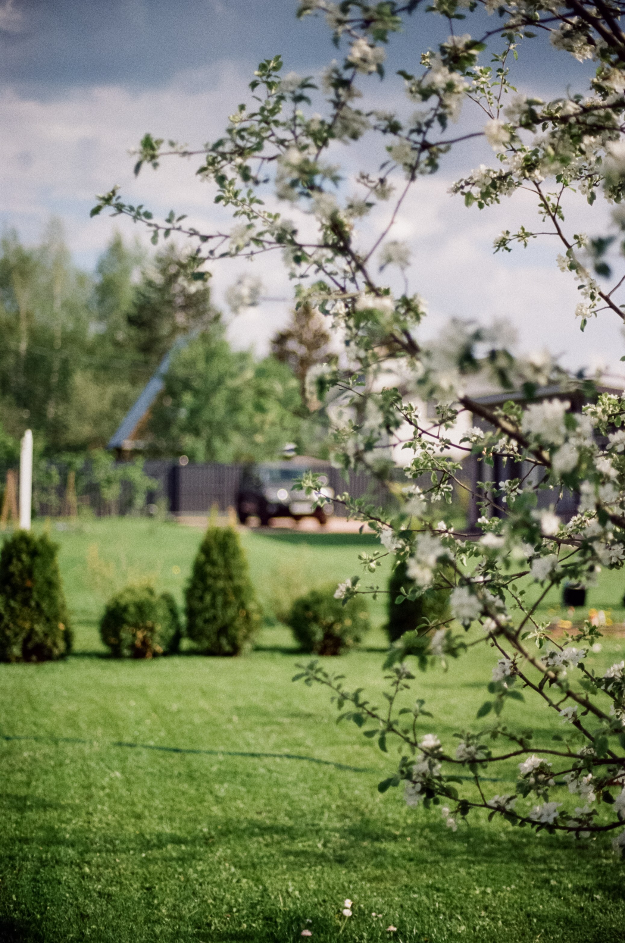 Nikon F100 — Micro-Nikkor-P.C Auto 55 mm f3.5 | май 2025 года | Давыдовское