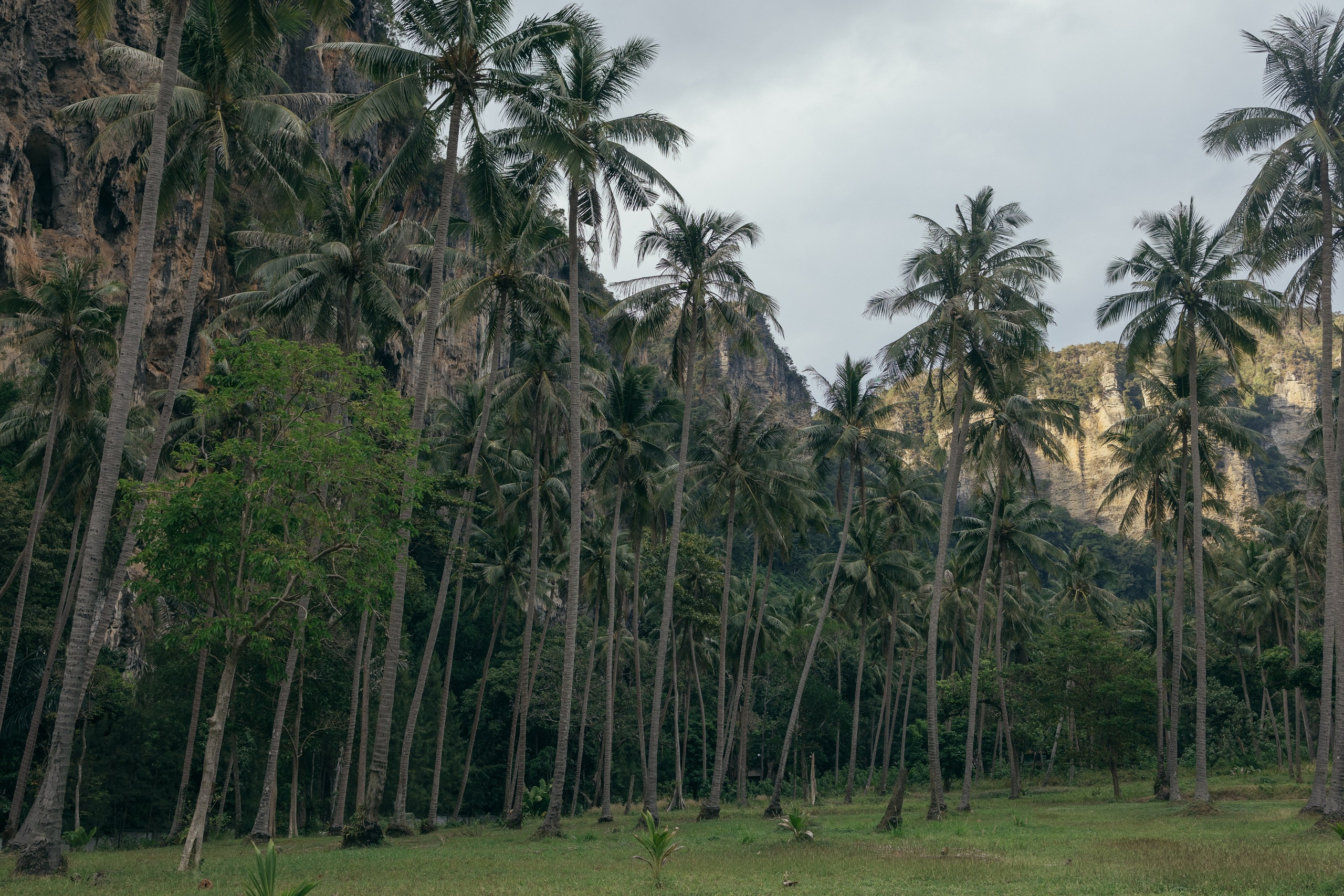Wedding Love Story in Krabi Thailand. Fedor Lemeshko — Destination Wedding and Family Lifestyle photographer