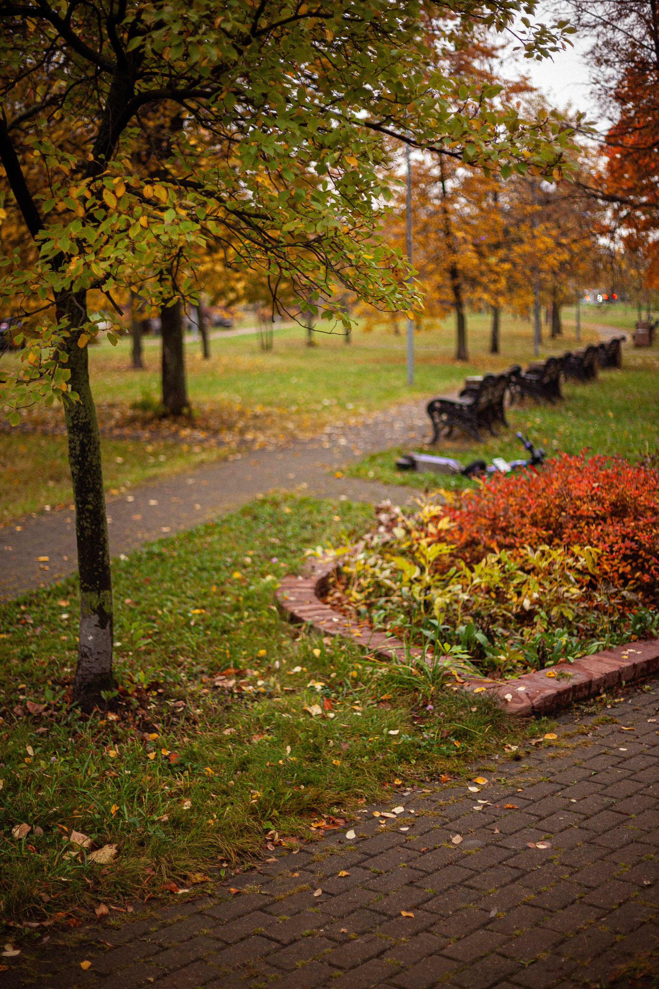 Осенняя серия. Фотограф в Москве. Екатерина Митина