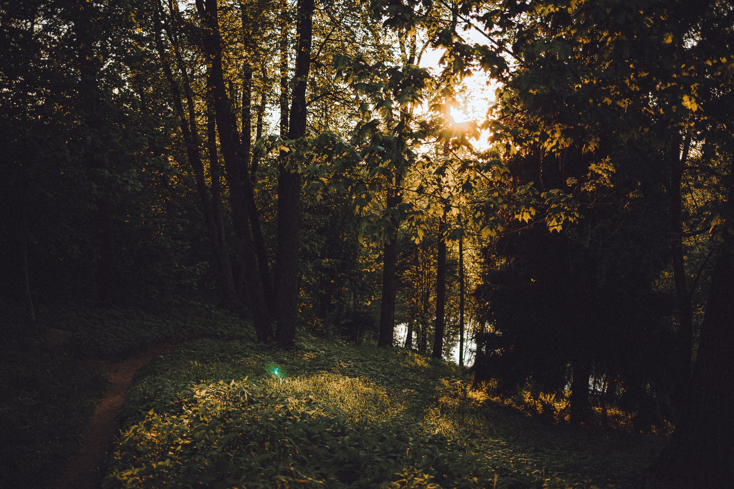 Шерри и ее семья