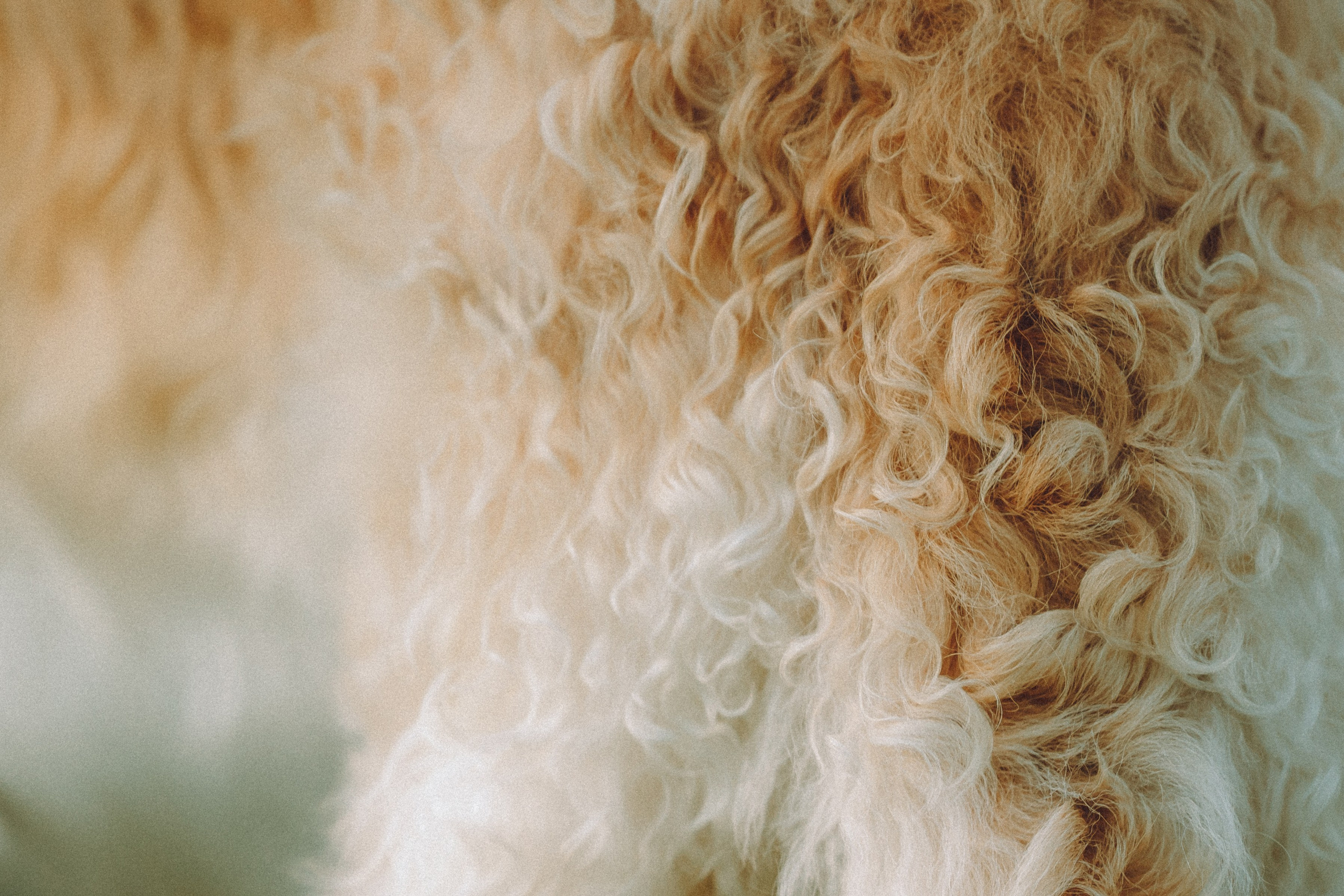 Илай, Зайка и их семья