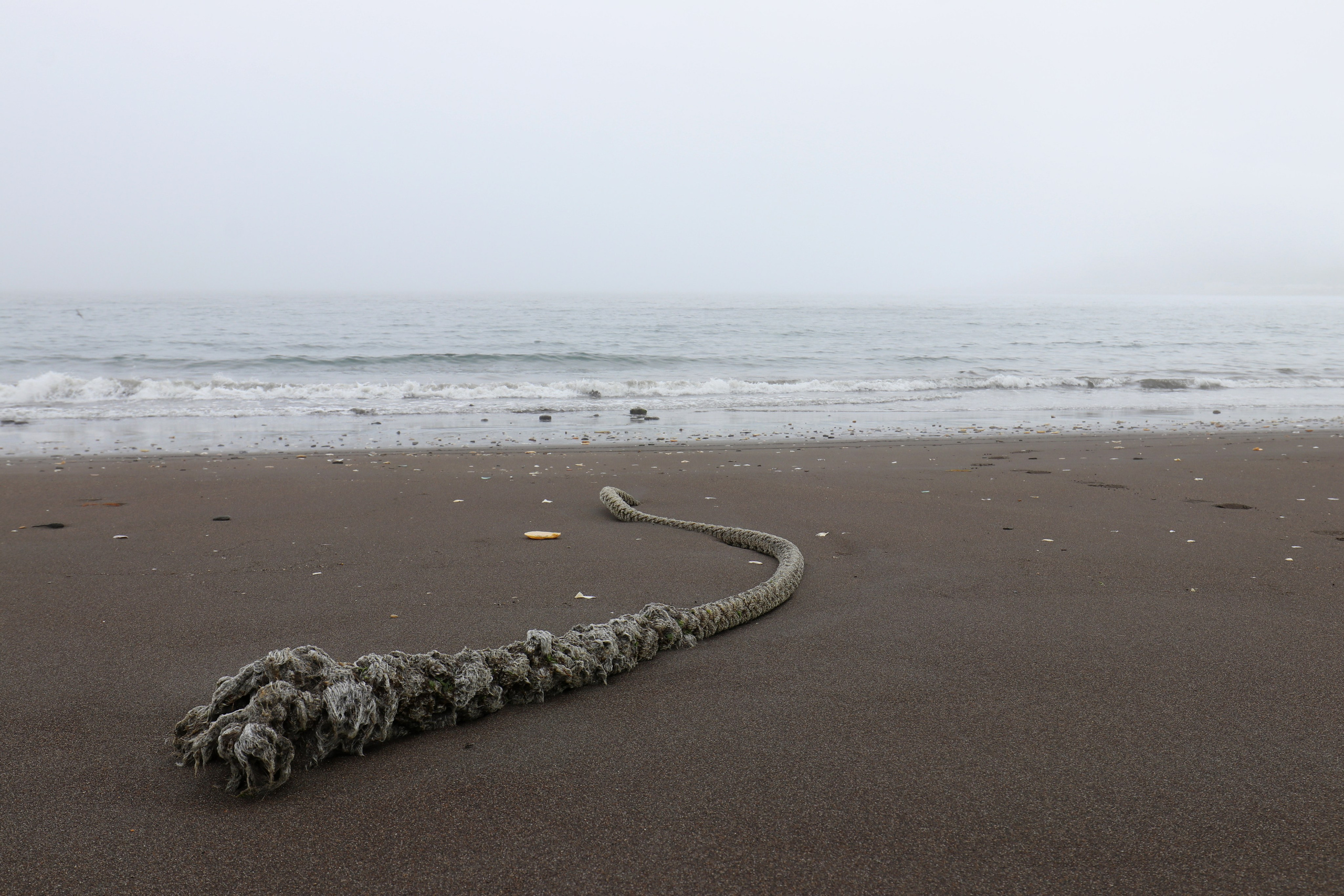Камчатка и о. Парамушир. Июль 2024. Путешественник-фотограф из Санкт-Петербурга Татьяна Свистулина