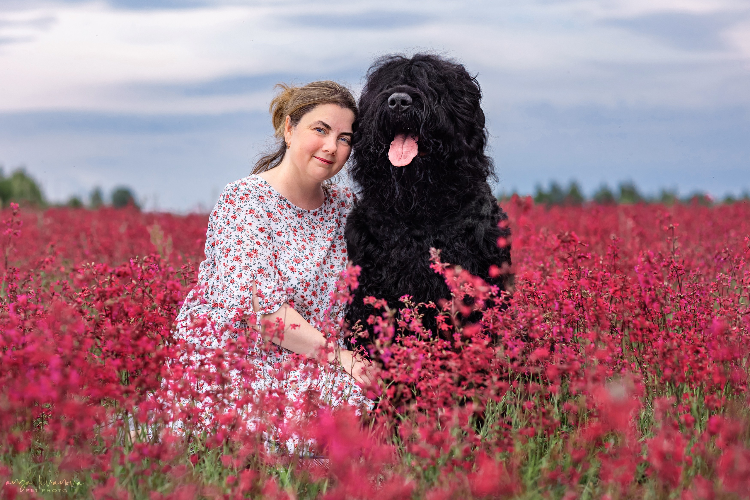 Смолка клейкая. Фотограф анималист Аня Ливанова | Рыбинск