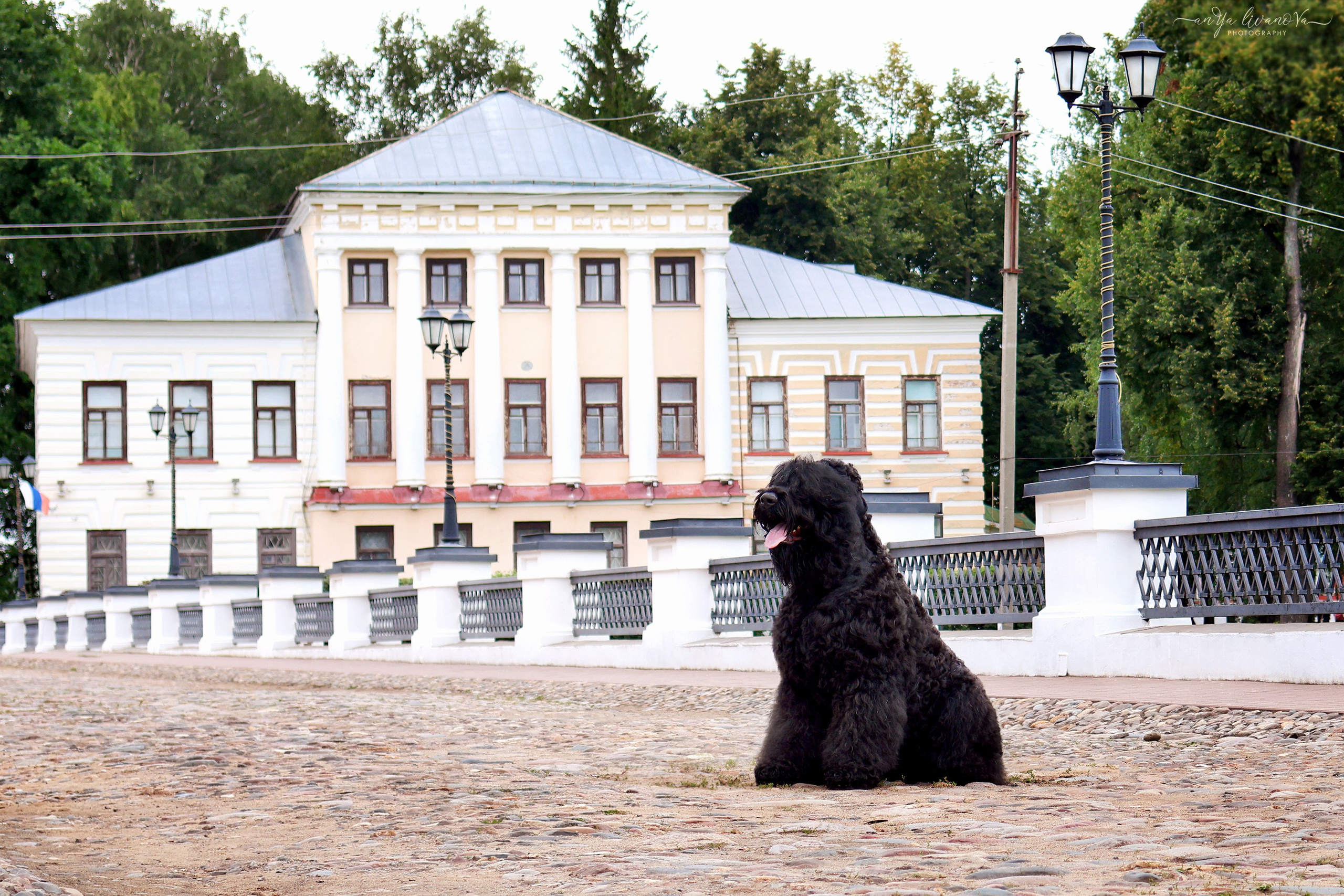 РЧТ. Фотограф анималист Аня Ливанова | Рыбинск