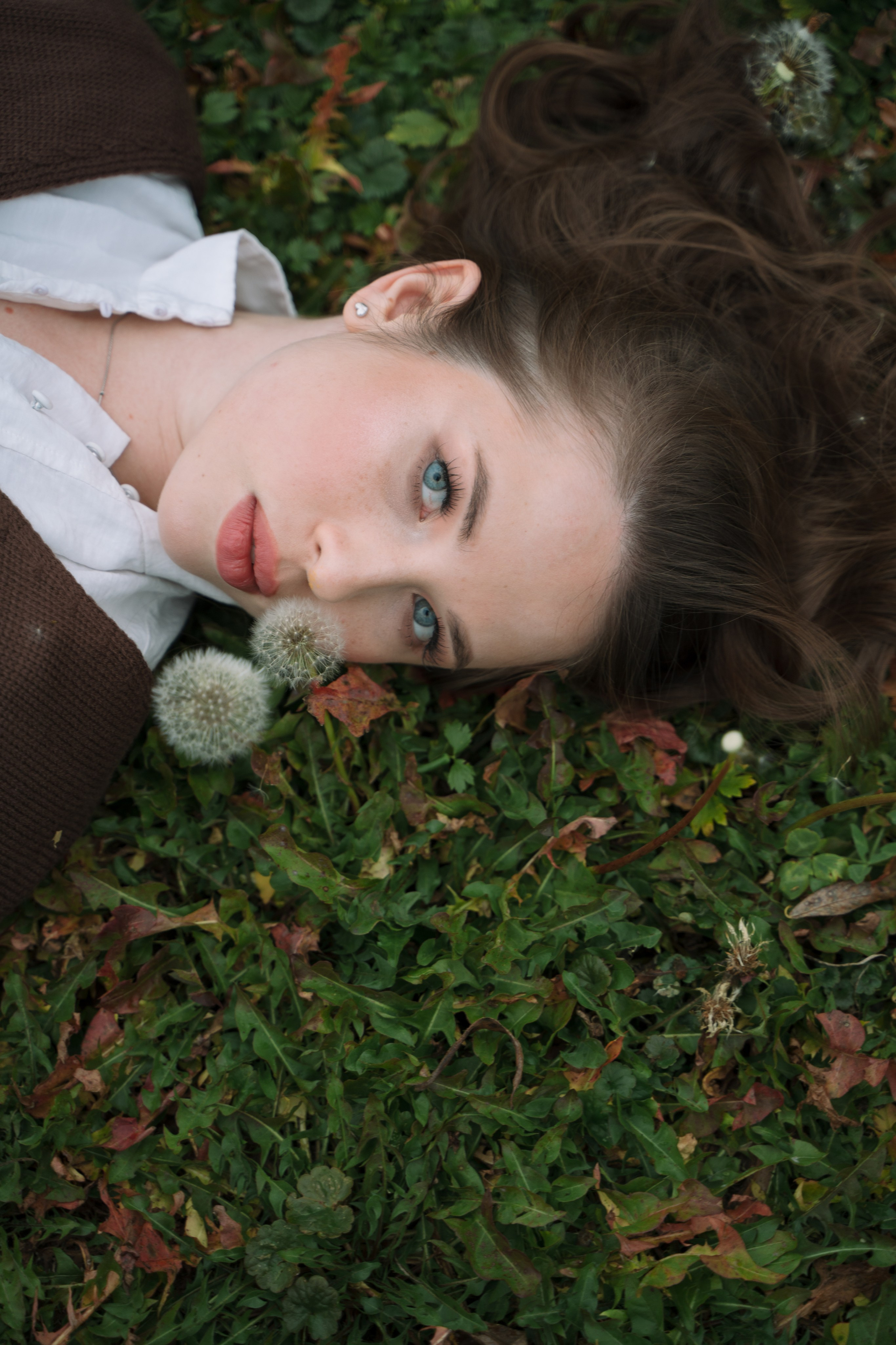 Сыч пакр. Фотограф Мария Зайчик