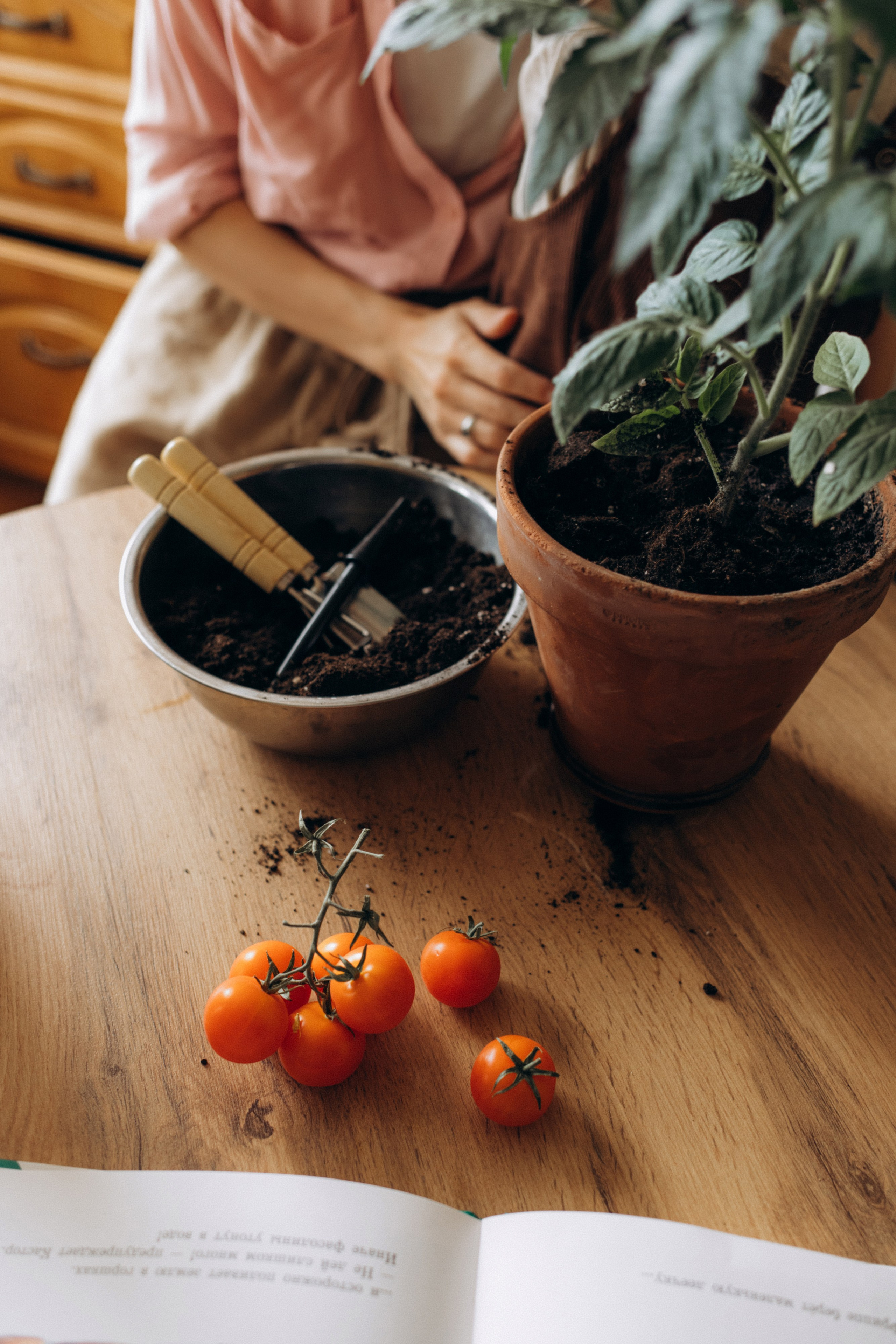 🤎. Семейный фотограф Виолла Платонова Белгород
