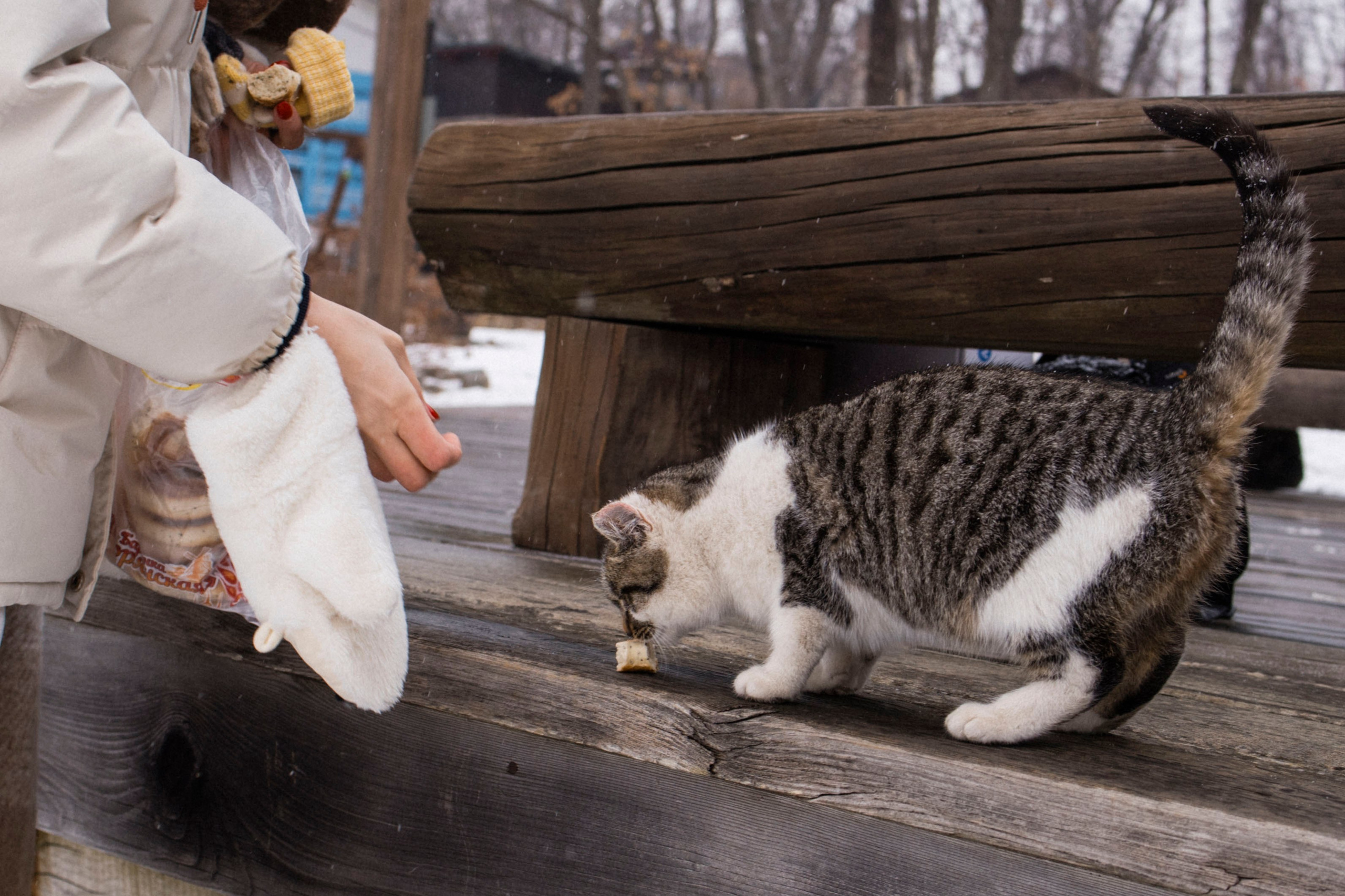 Алёна, Аврора и Артём. Фотограф Виктория Куприянова