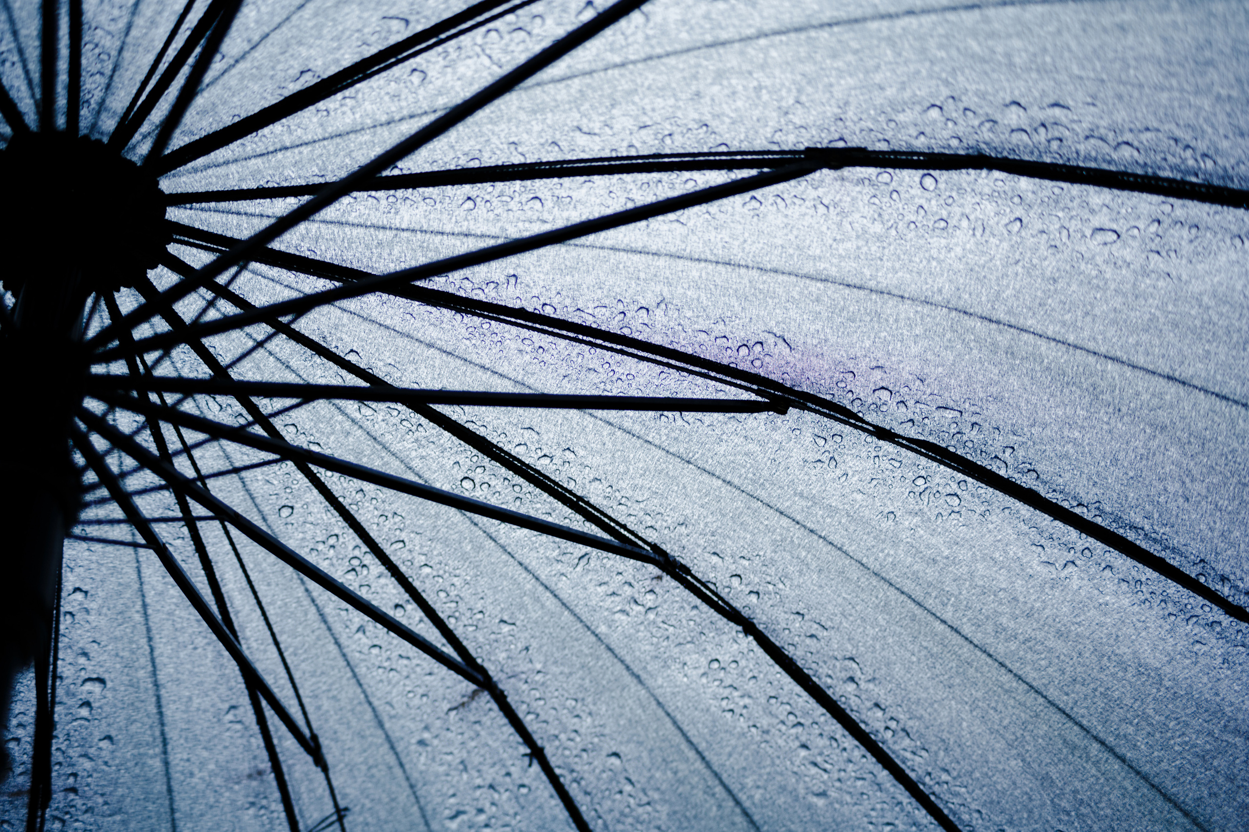 Виктория. Репортажный, семейный фотограф из Нефтеюганска