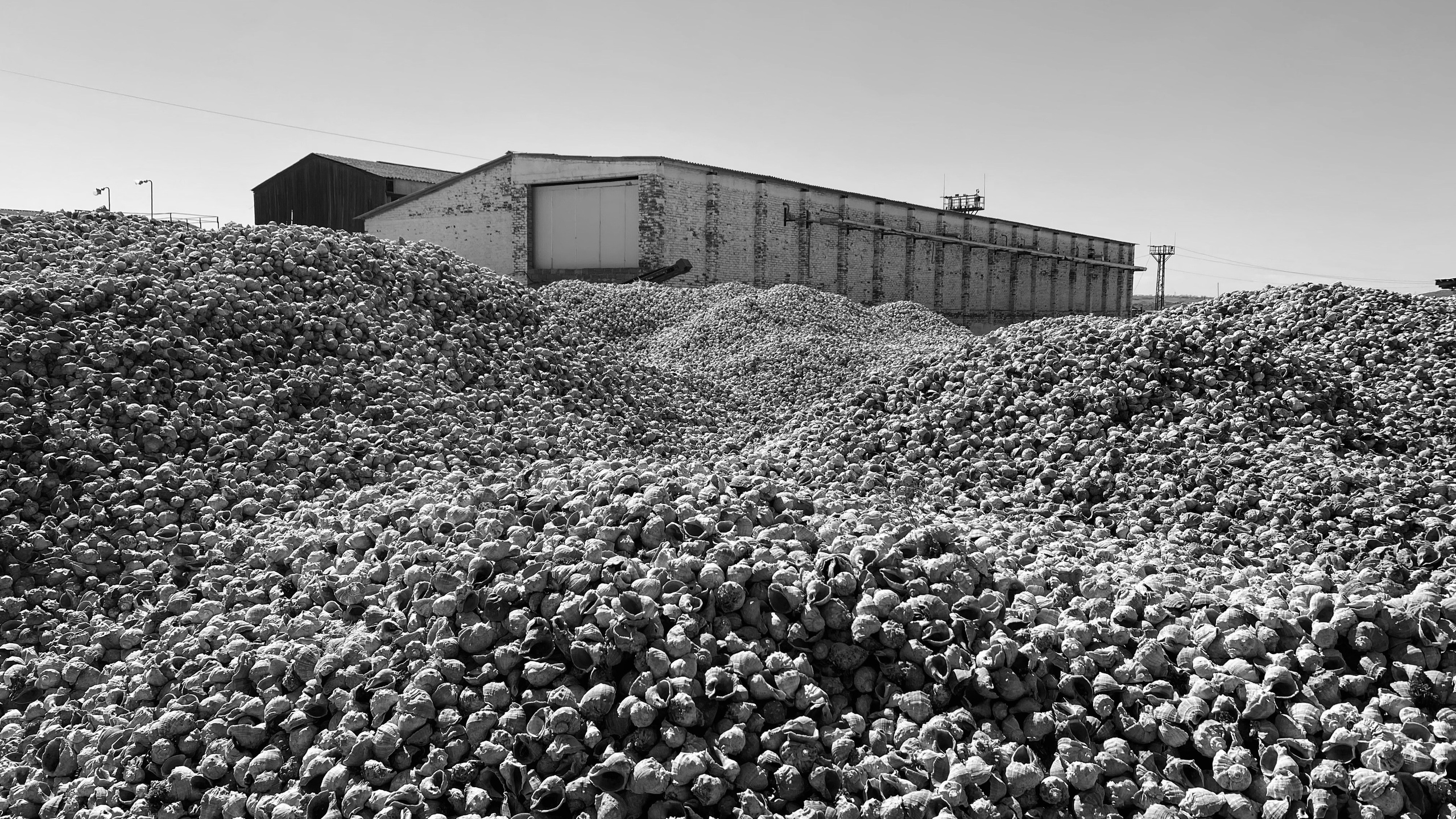 Photo. Оператор-постановщик рекламы и музыкальных клипов