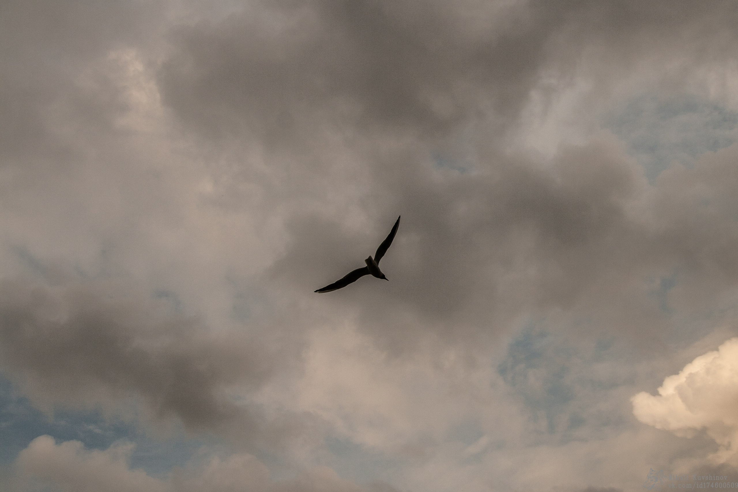 Минимализм. Главная