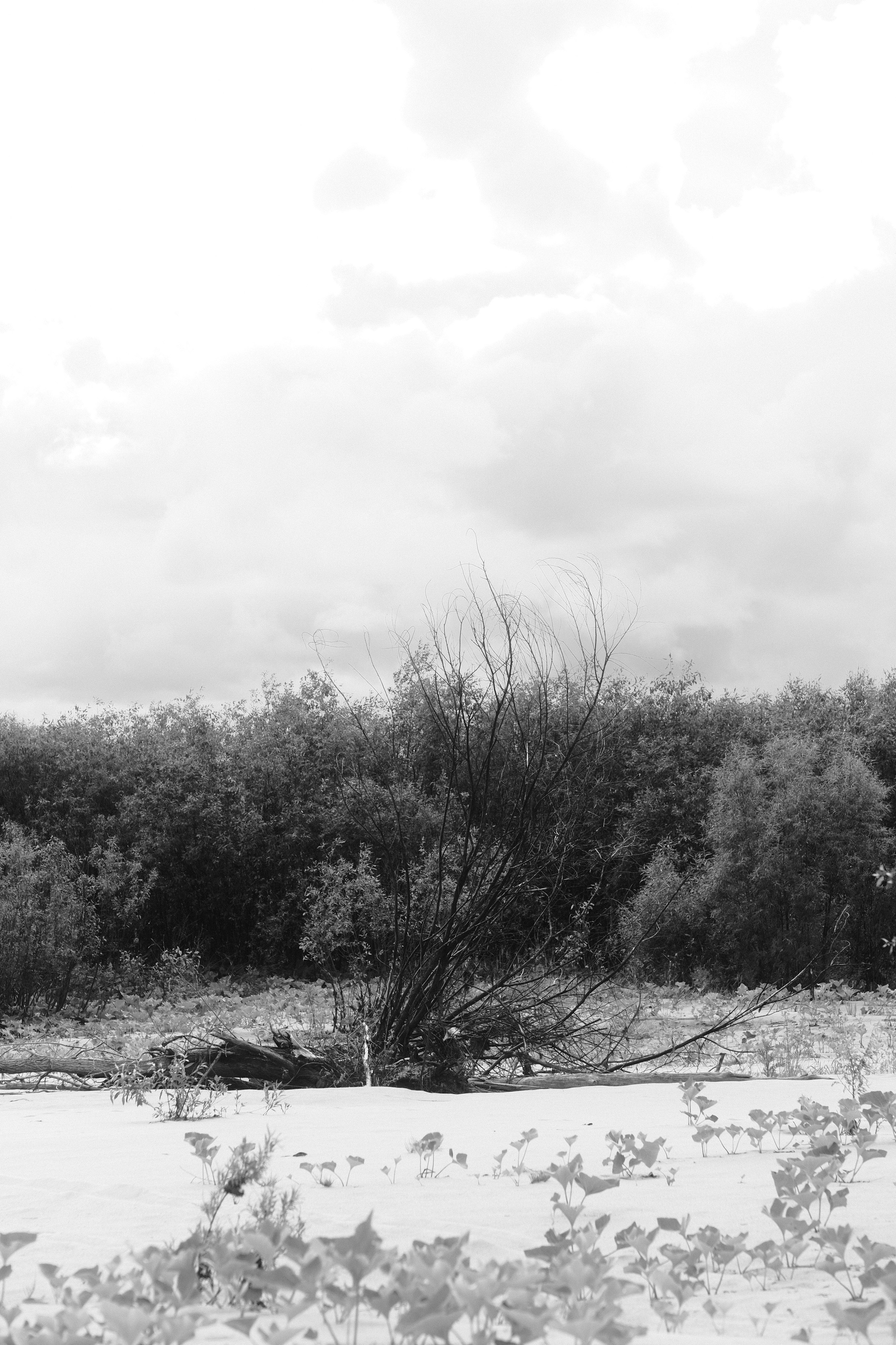 ЧБ. Фотограф-любитель из Кирова Андрей Погребняк