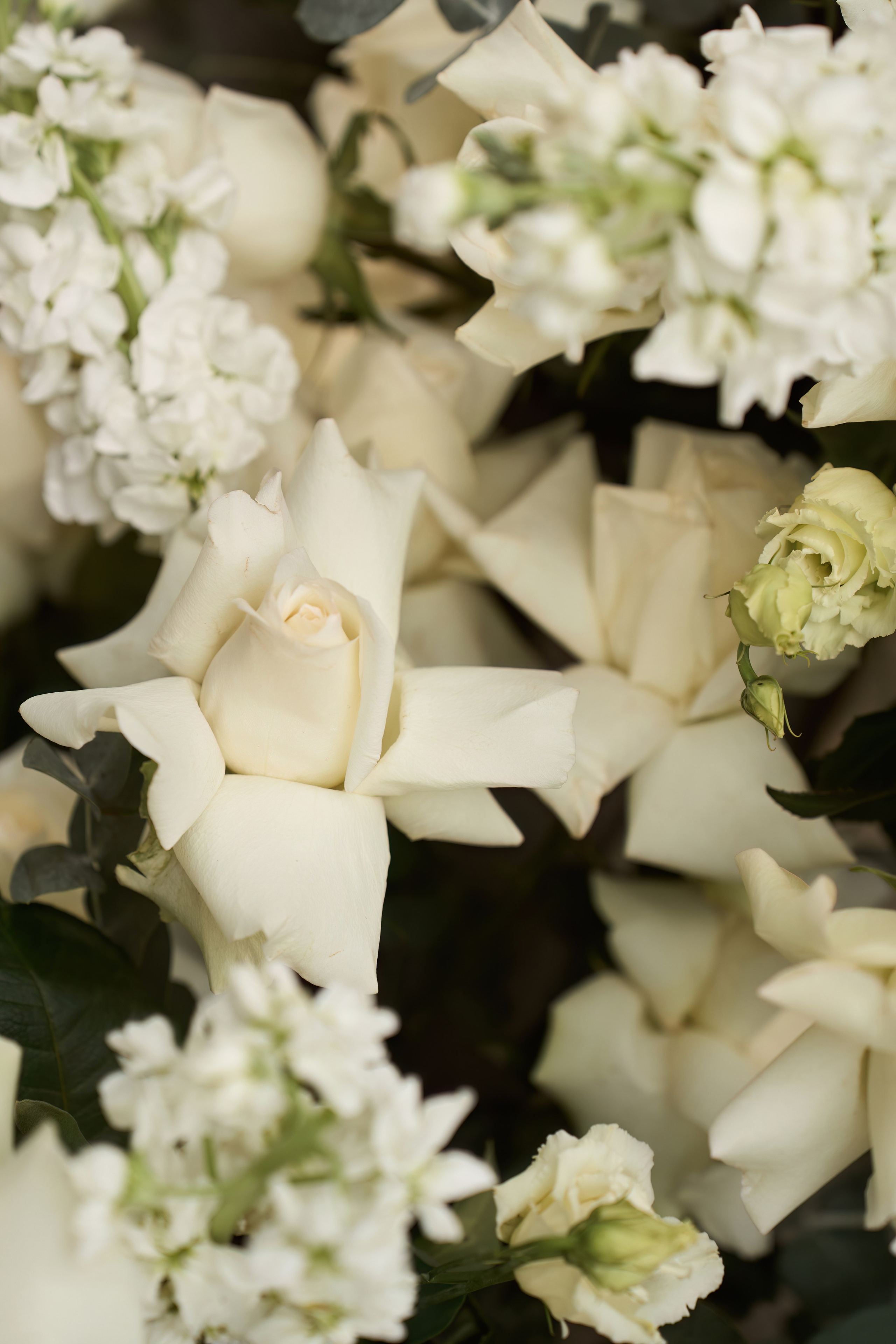 Алиса и Виктор. Свадебный фотограф в Барнауле Четошникова Анна