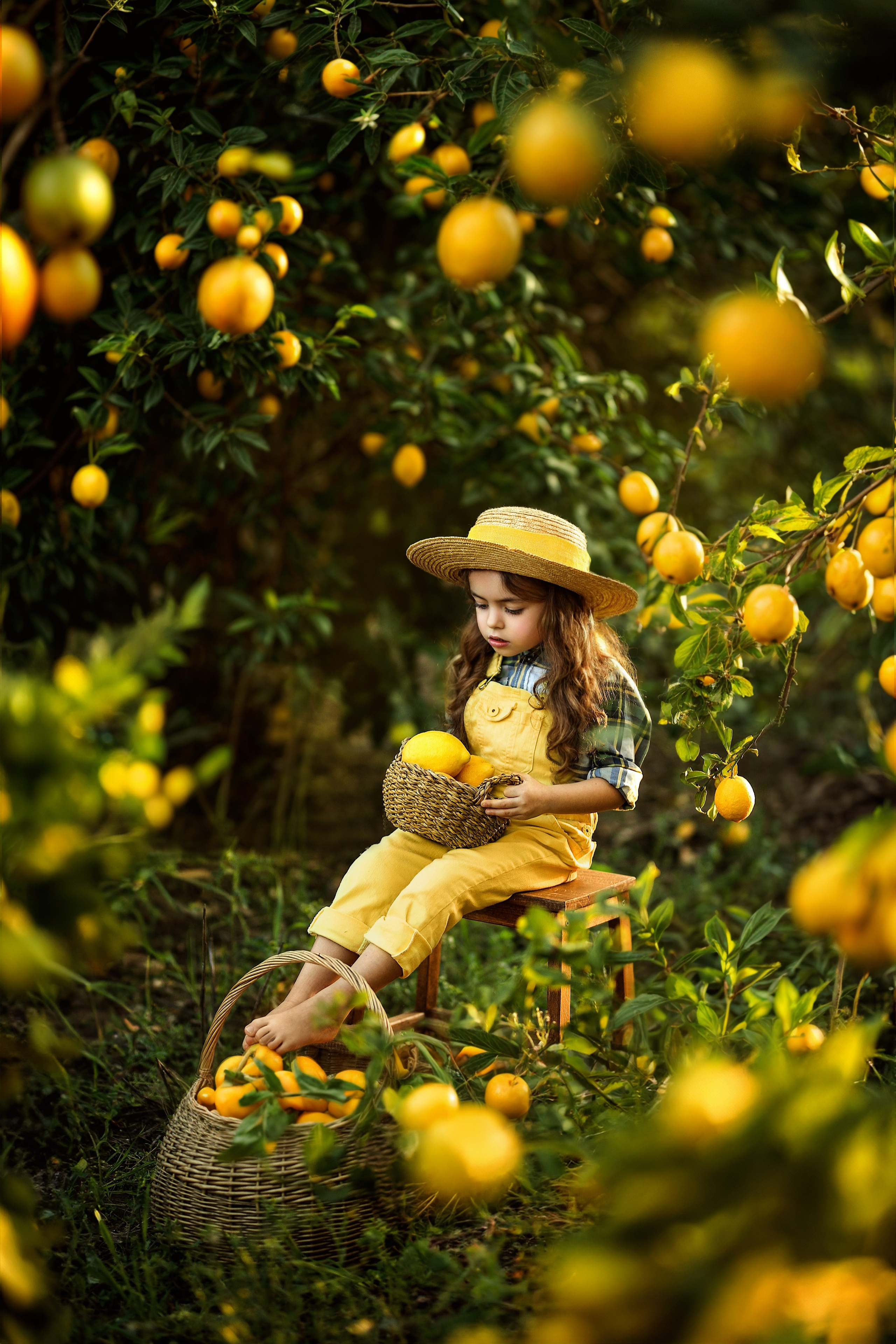 Potoshooting in lemon garden