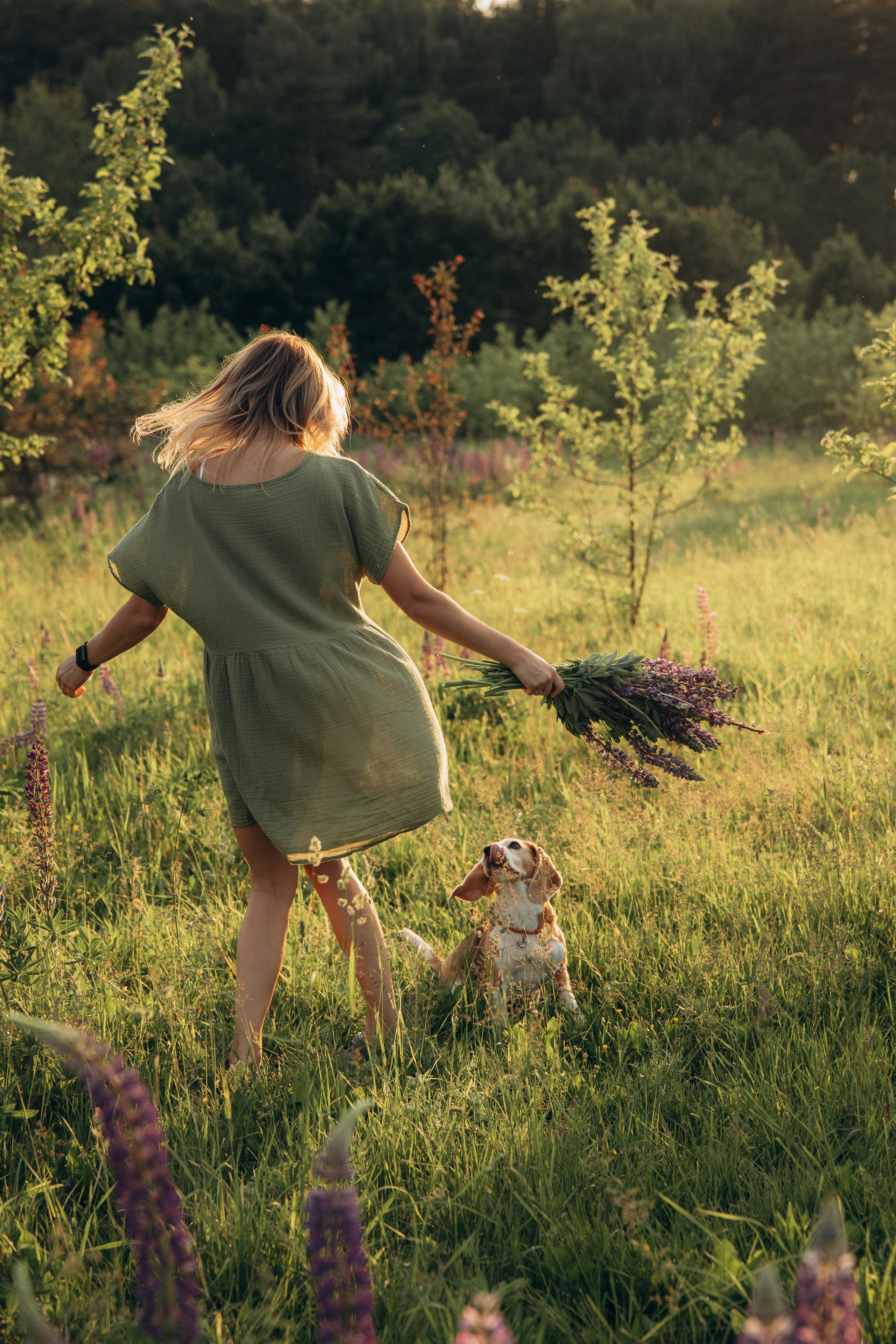 Кристина и Нора. На закате дня. Фотограф анималист в Казани Алина Сулейманова. Фотограф животных