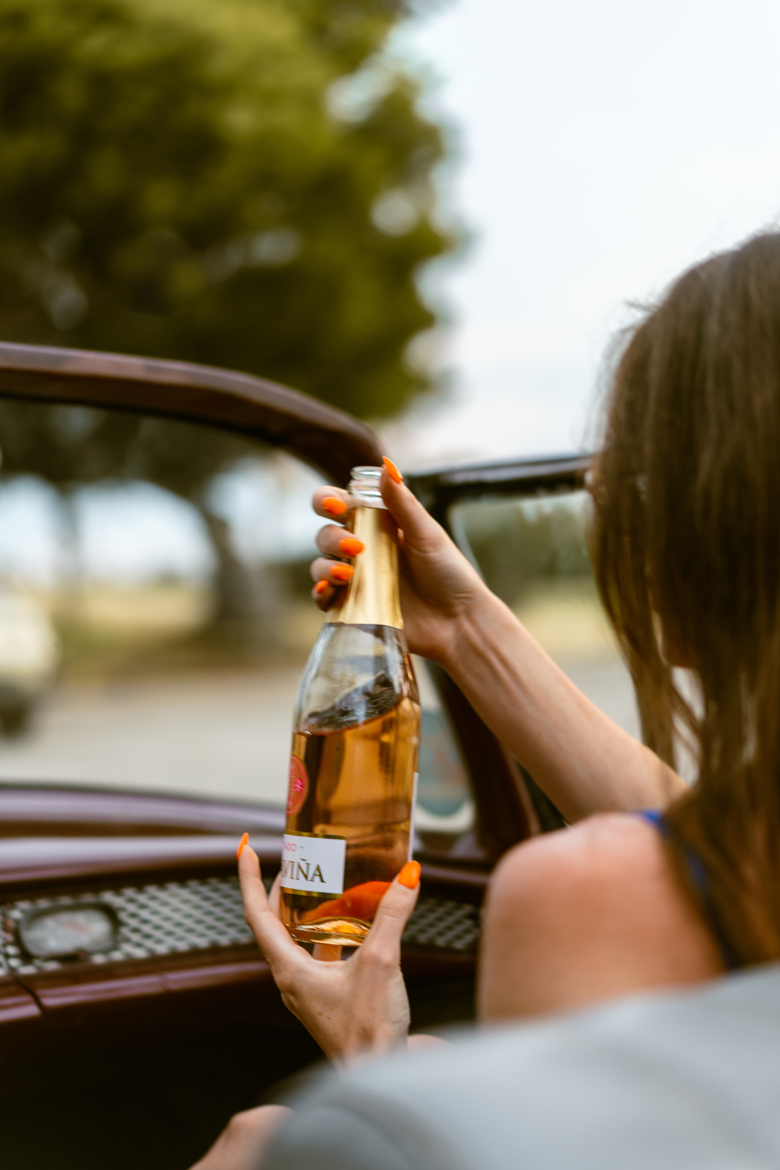 Игорь и Анна. Главная