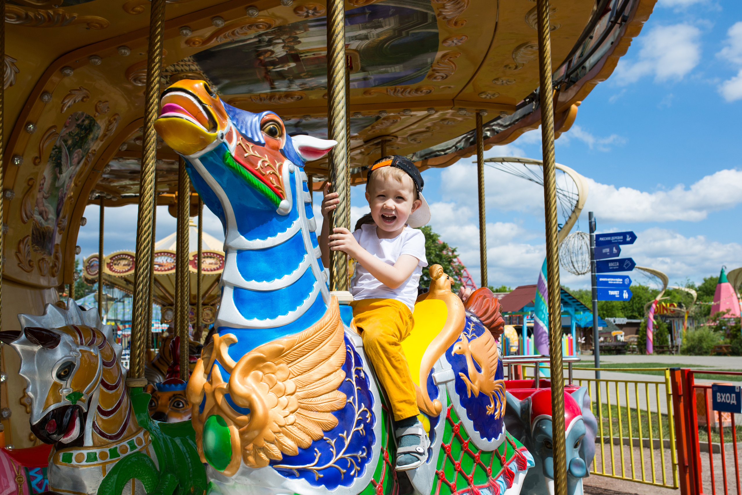 Парк Сказка. Wedding photographer Kiryanov Maxim. I take photos in Moscow, Kolomna,